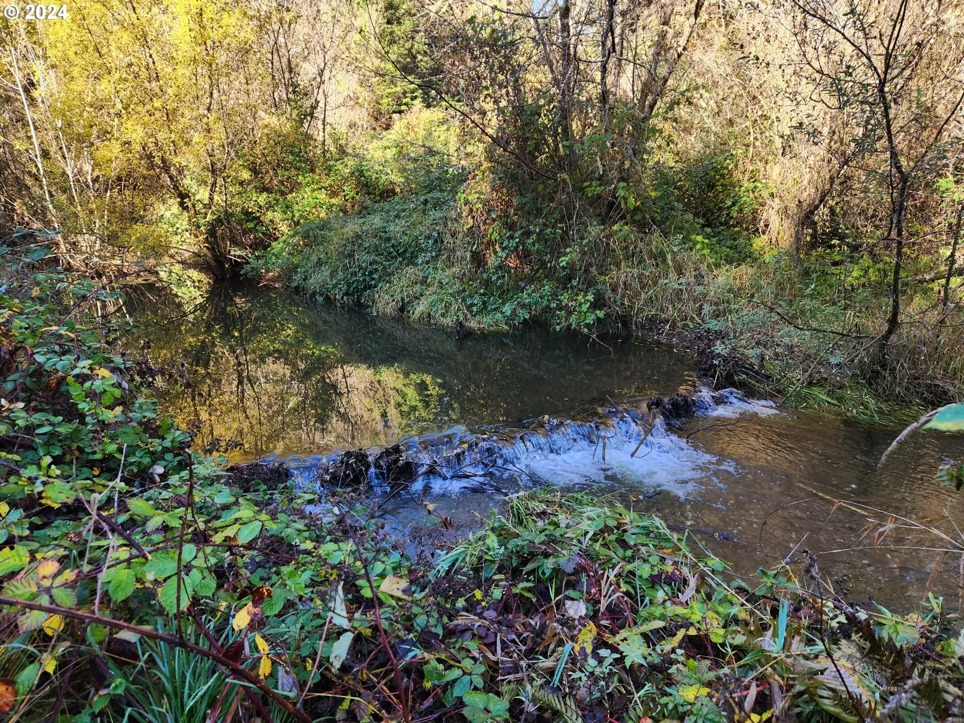 Creek