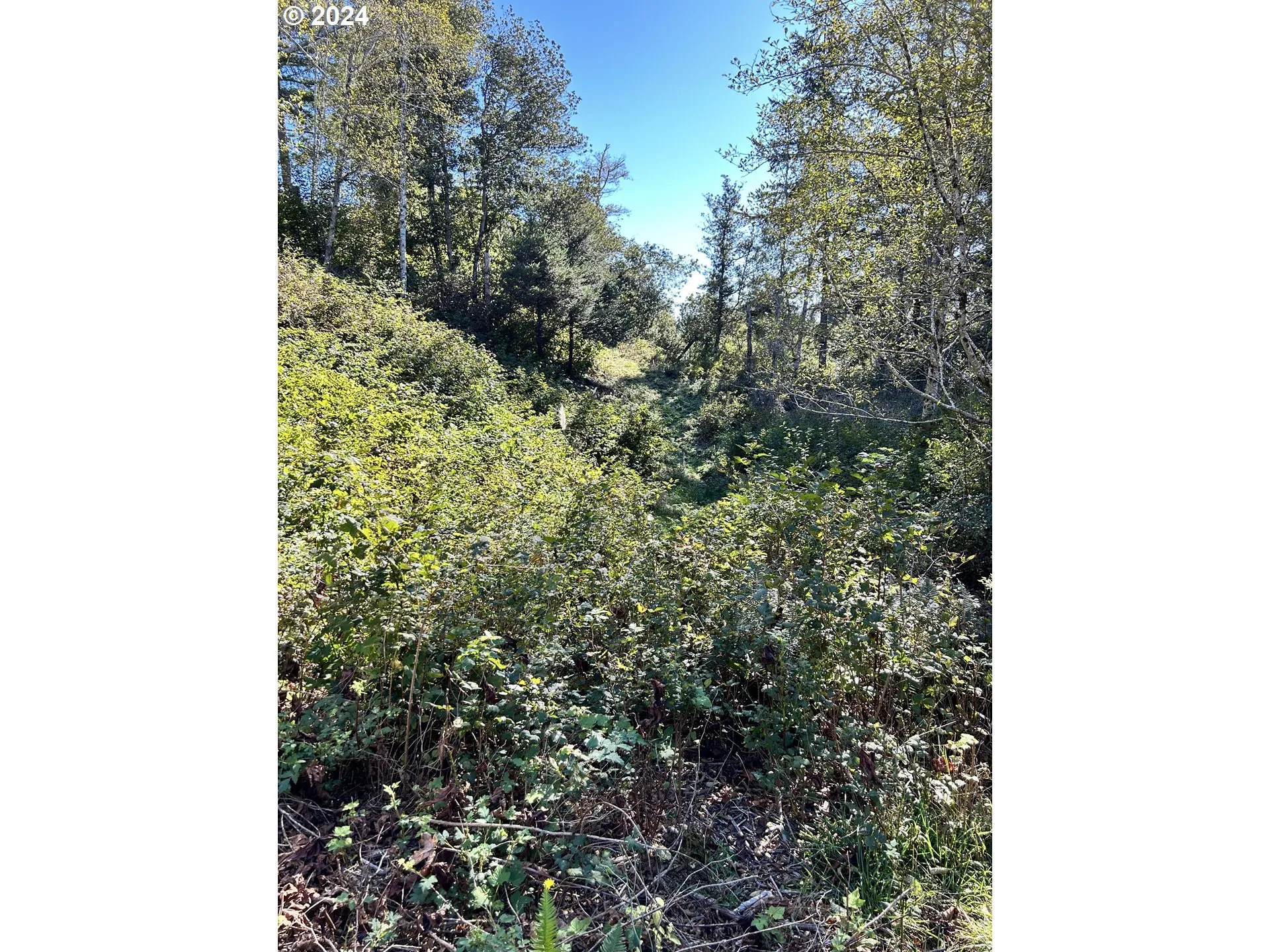 Drain Field Site-# 1