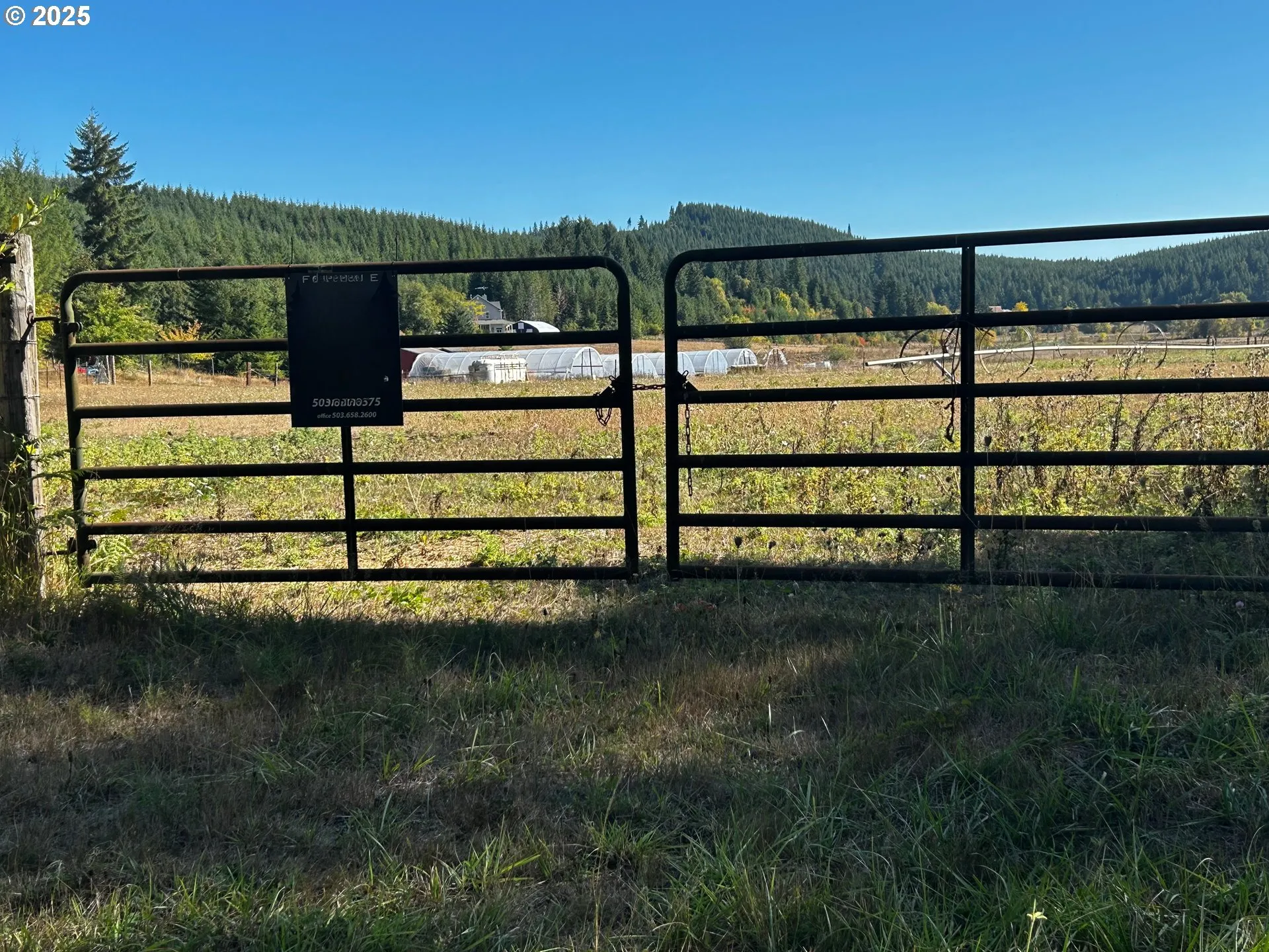 Pasture