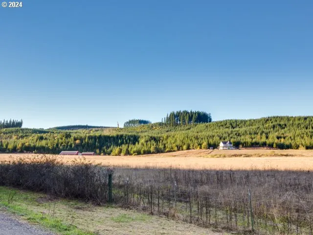 Pasture