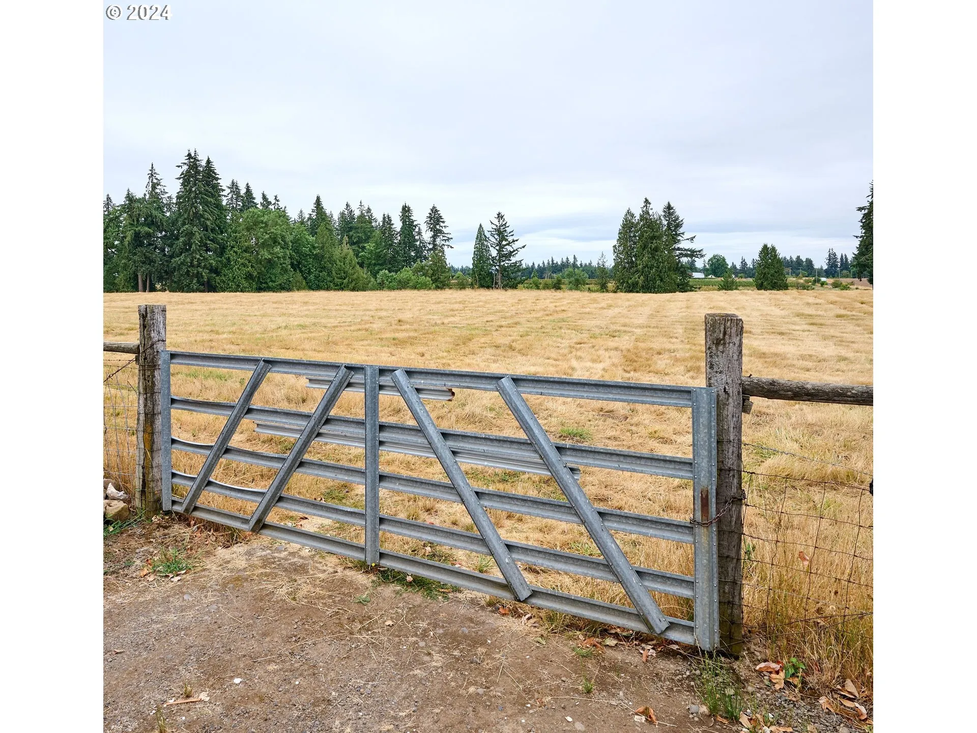 Pasture