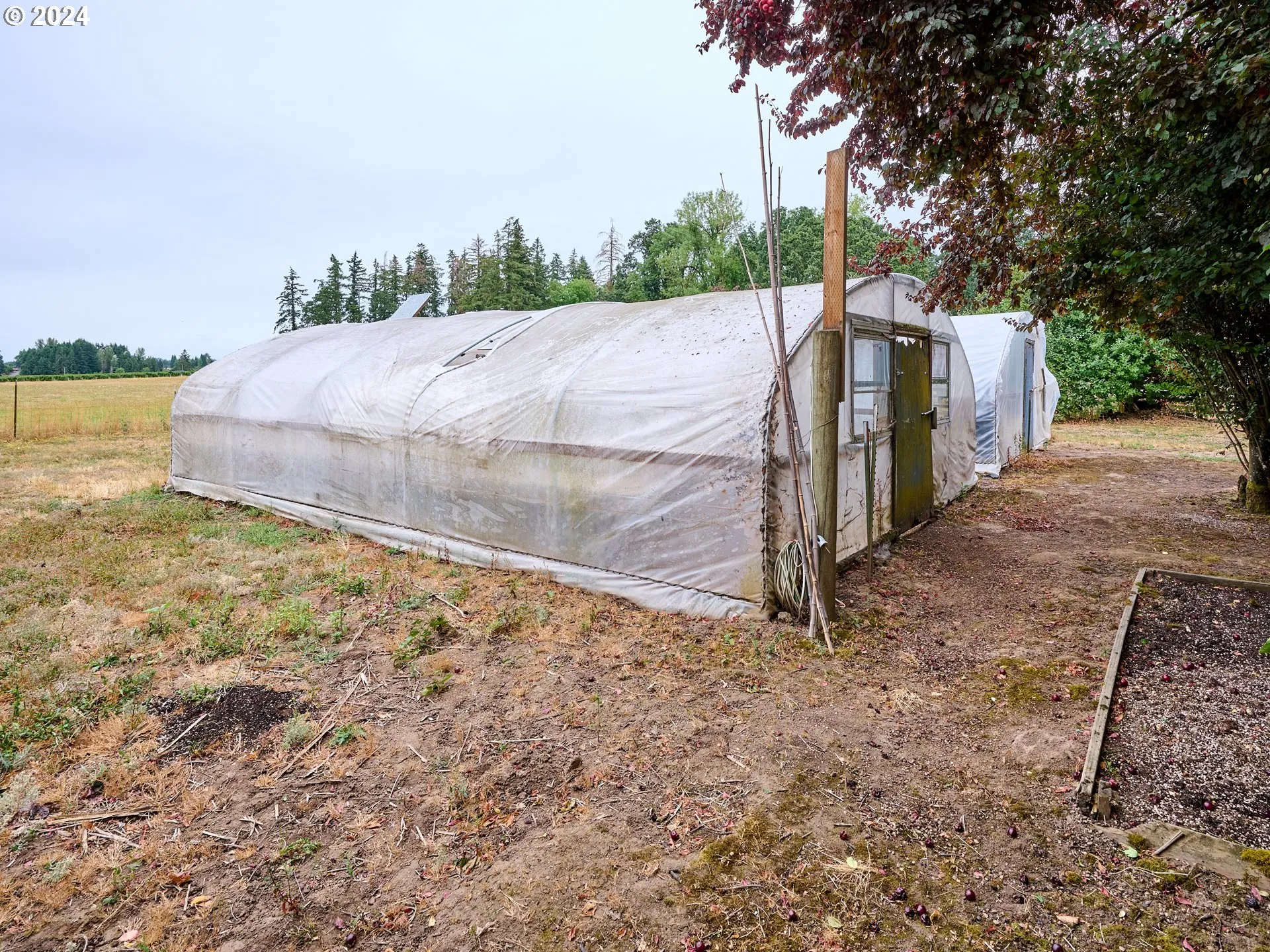 Greenhouse-# 2