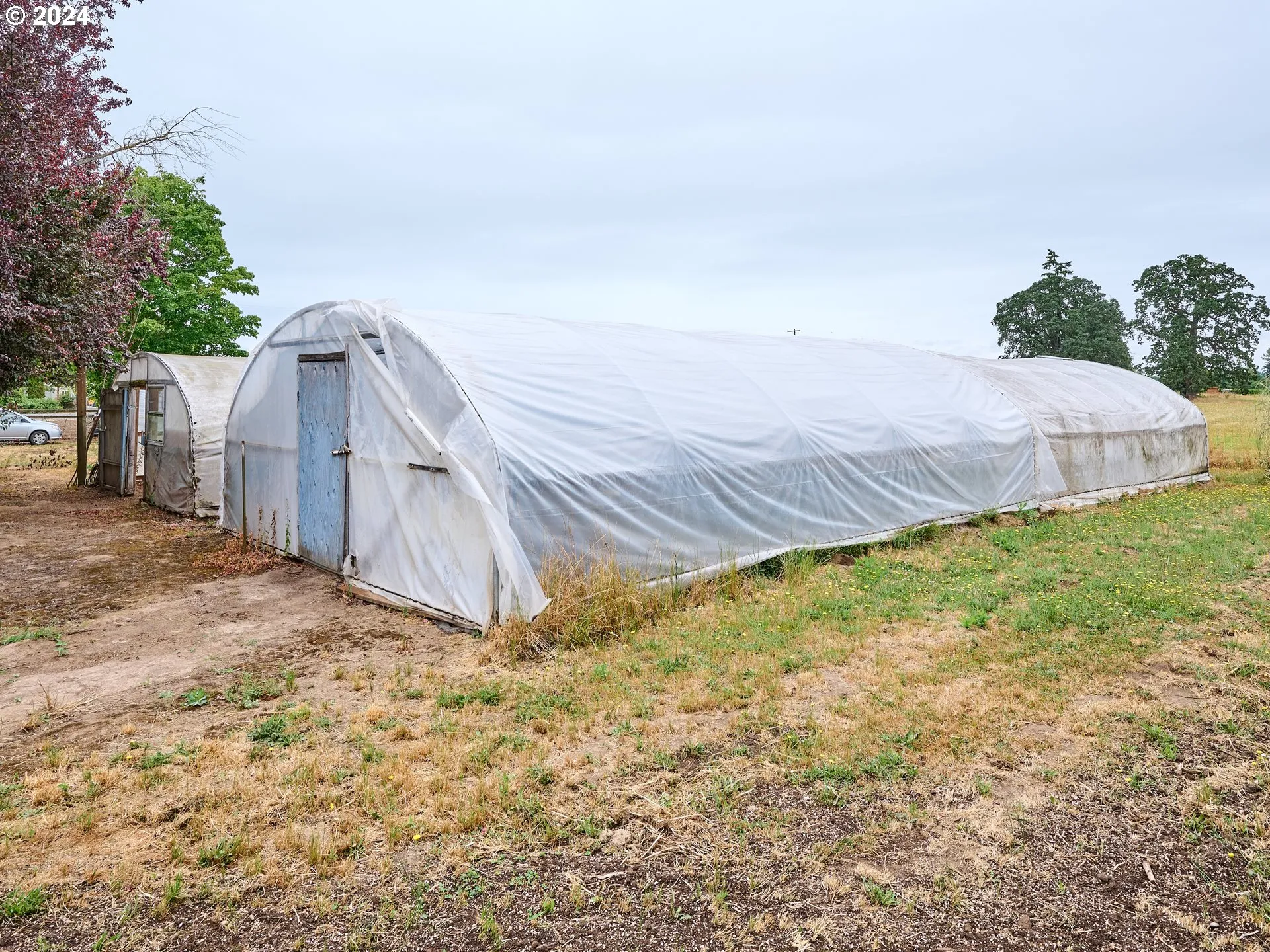Greenhouse-# 1
