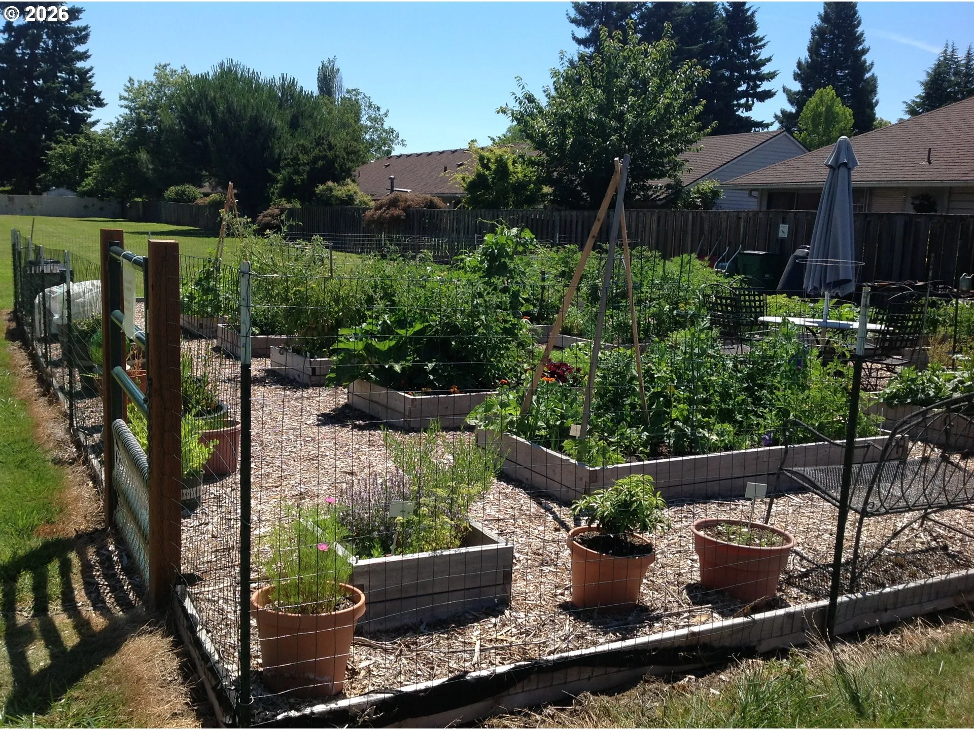 Community Garden