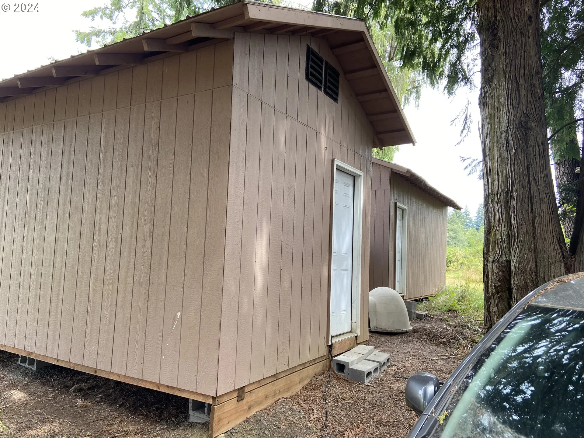 Shed