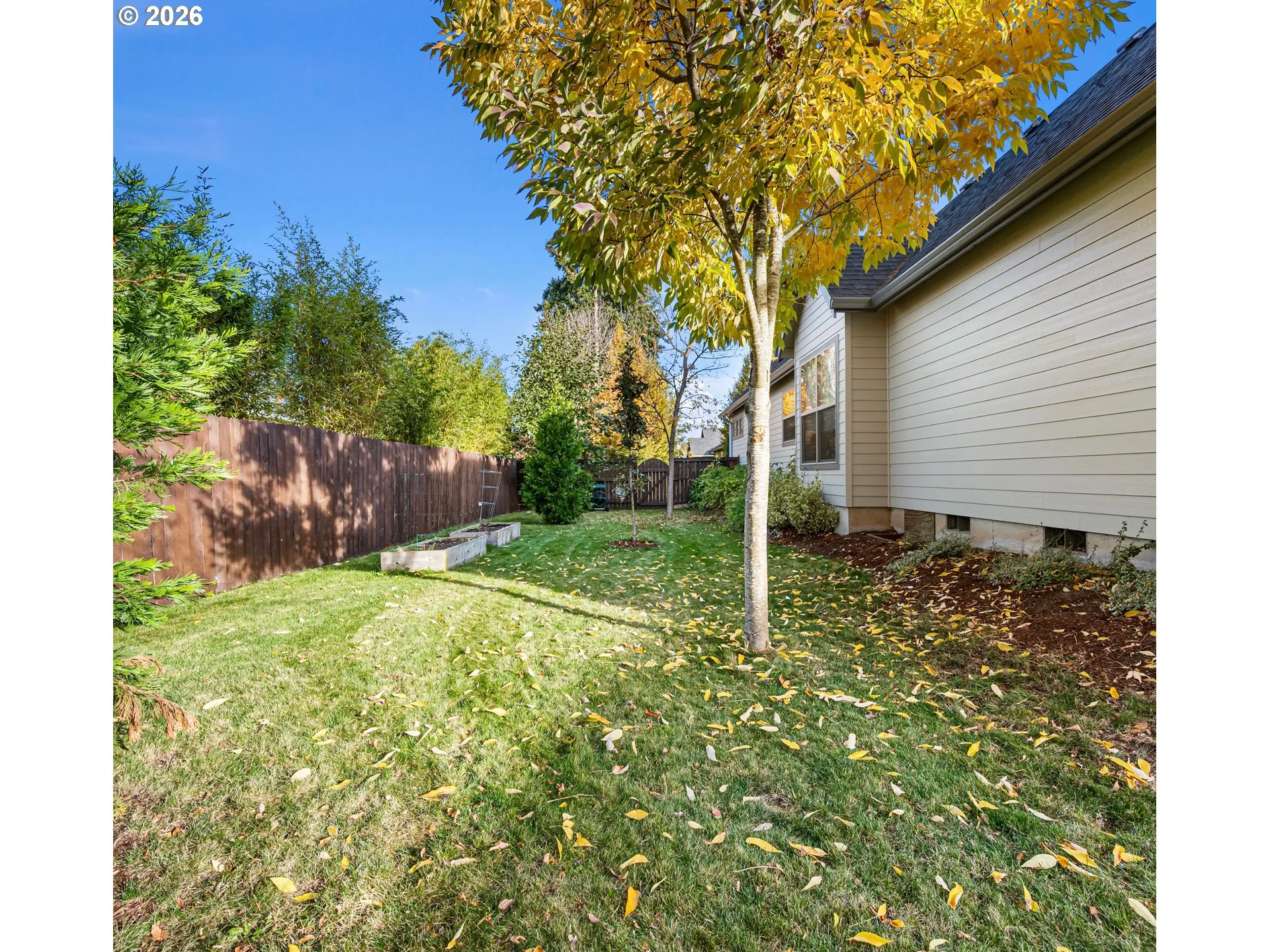 Backyard-Fenced