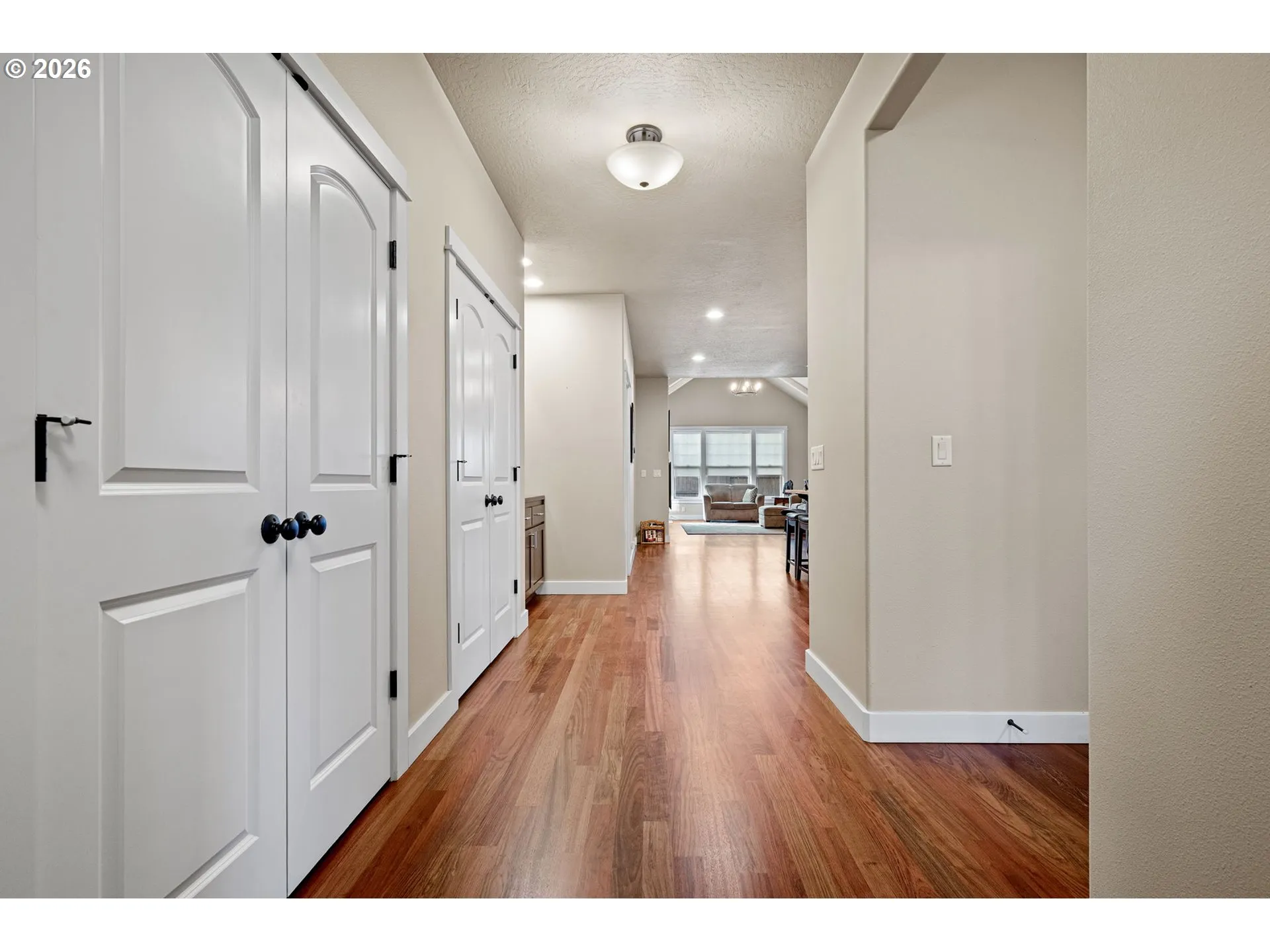 Living Room/Entrance