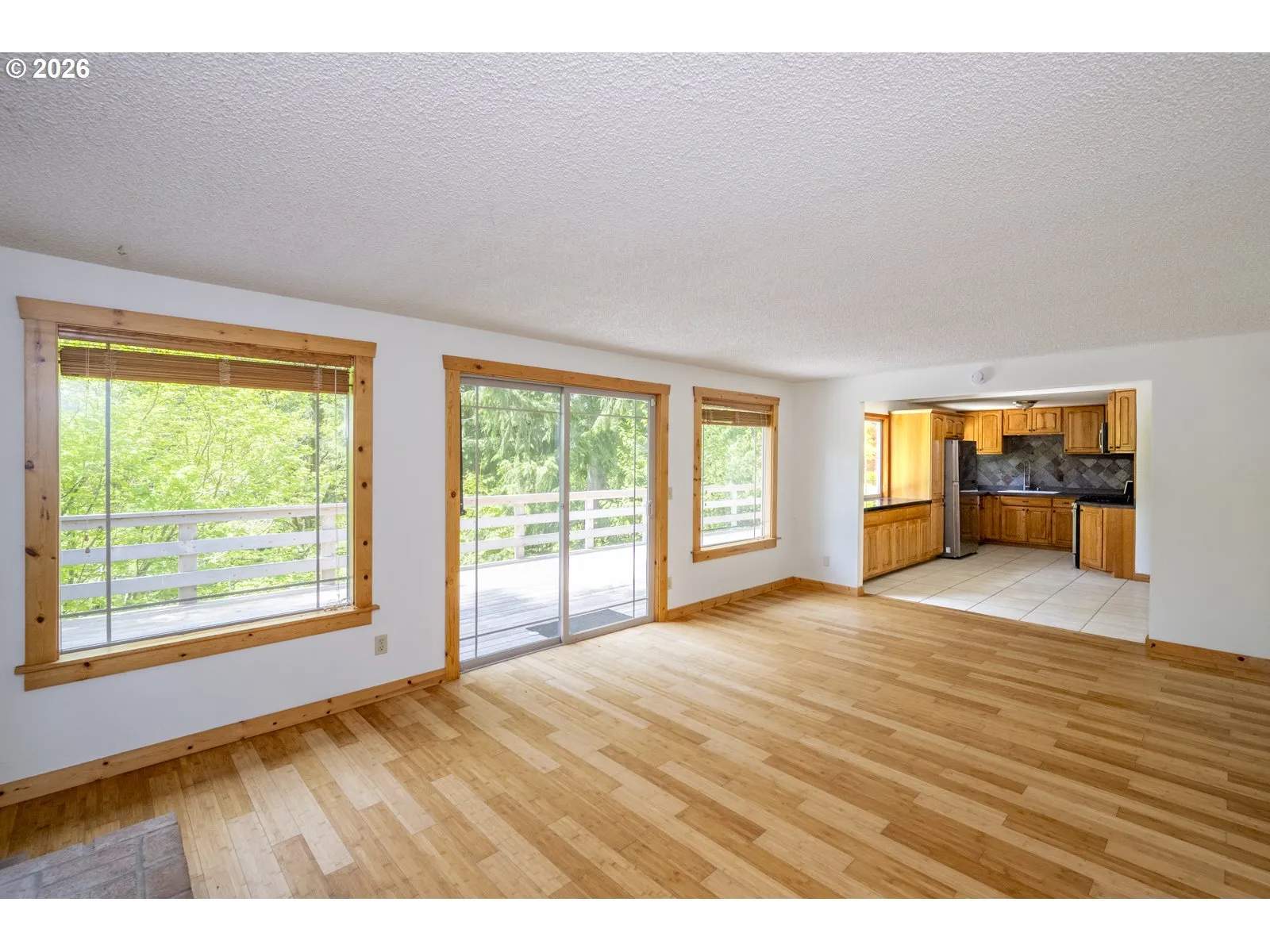 Kitchen/Family Room