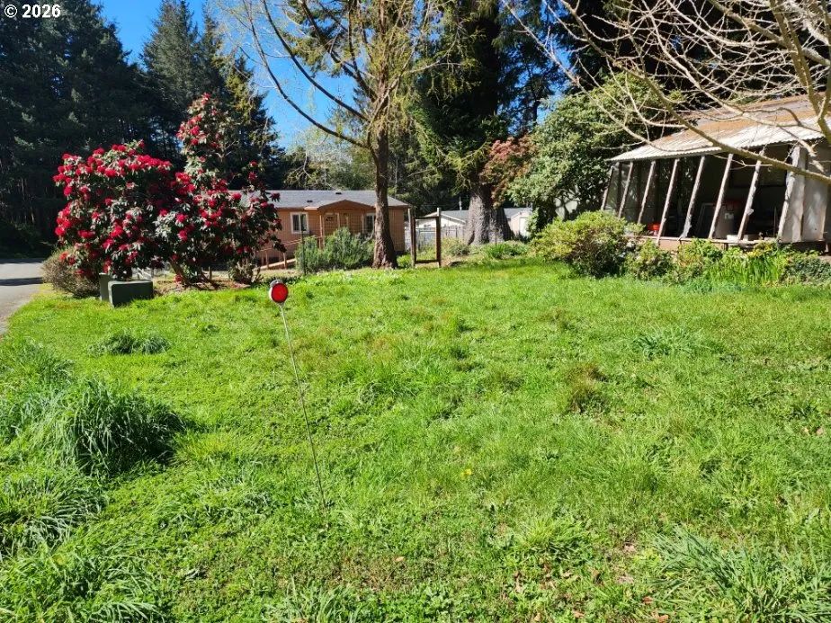 Front Yard