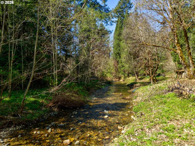 Creek