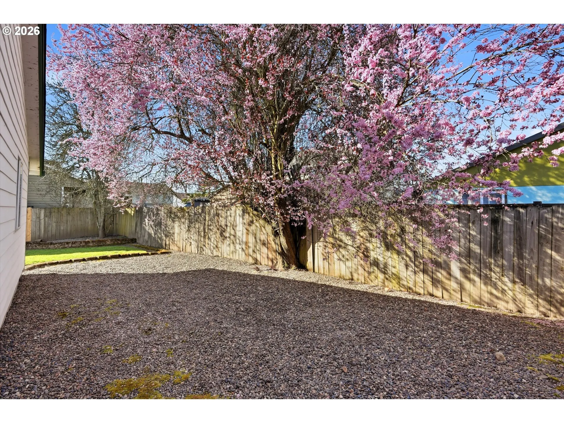 Backyard-Fenced