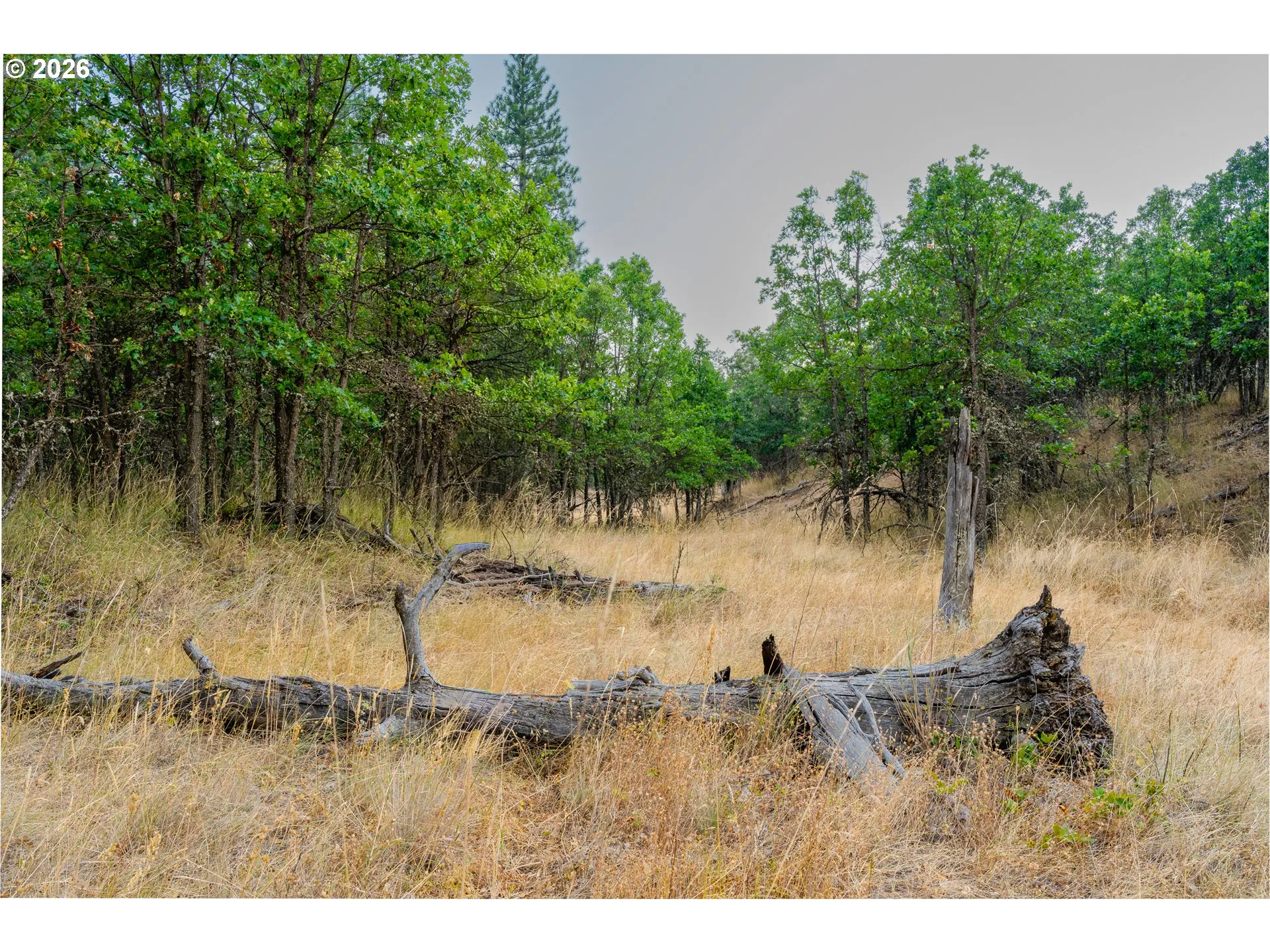 View-Wooded / Acreage