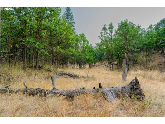 View-Wooded / Acreage