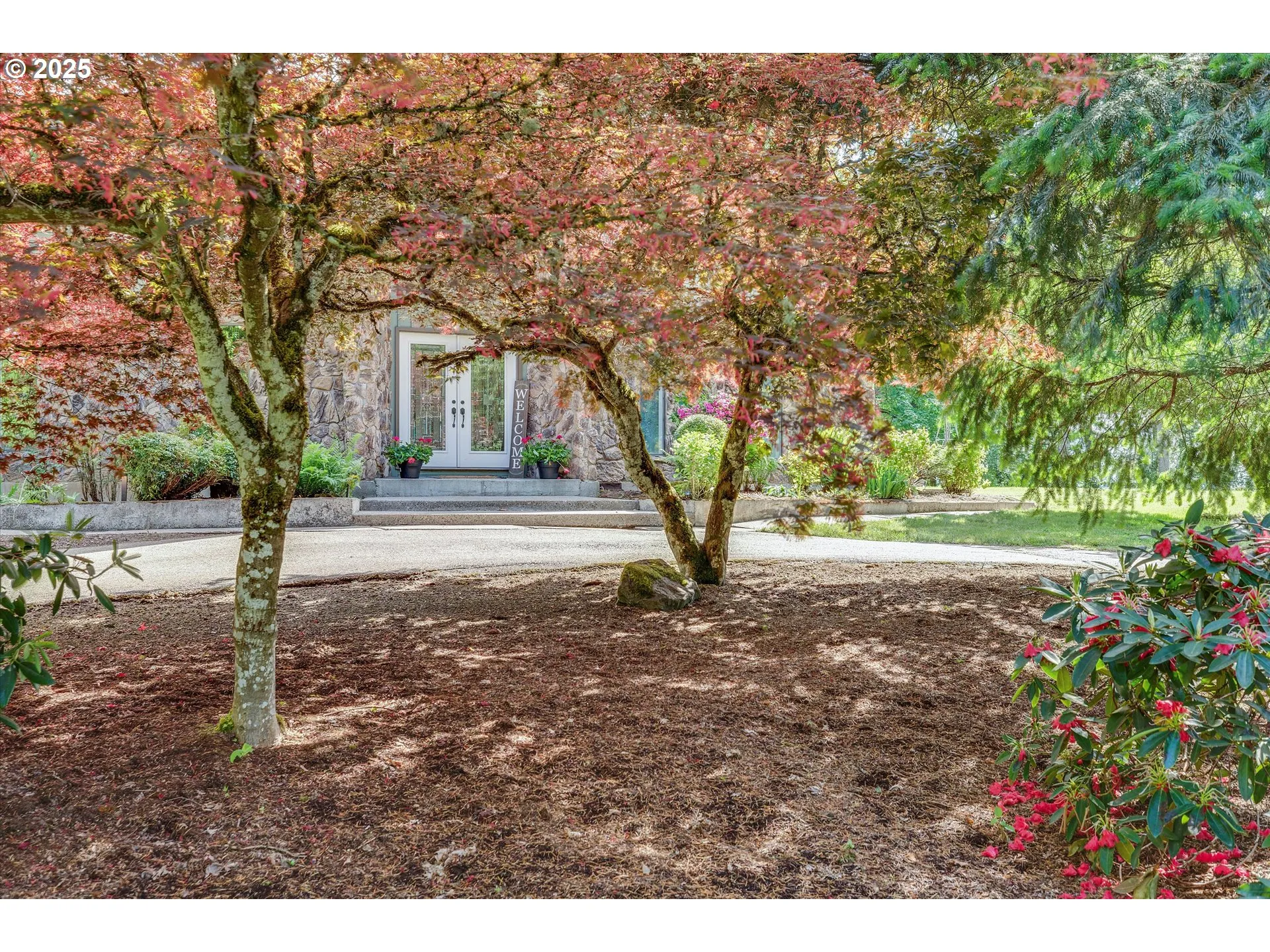 Front Yard