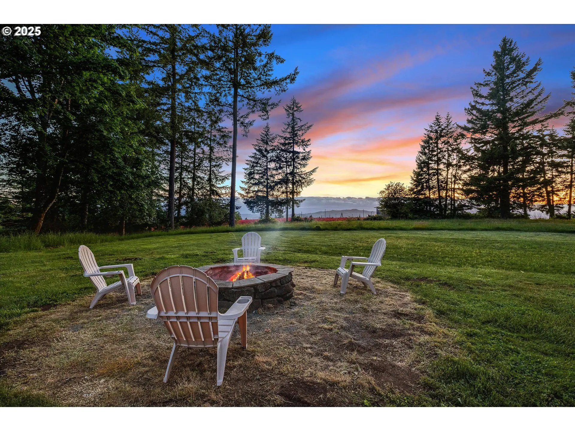 Backyard-View From