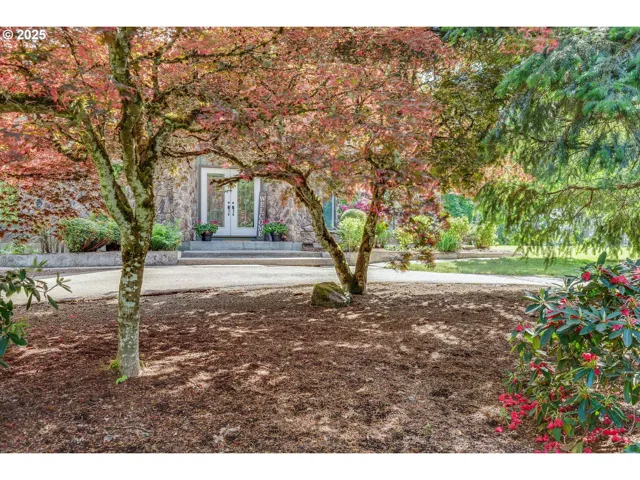 Front Yard