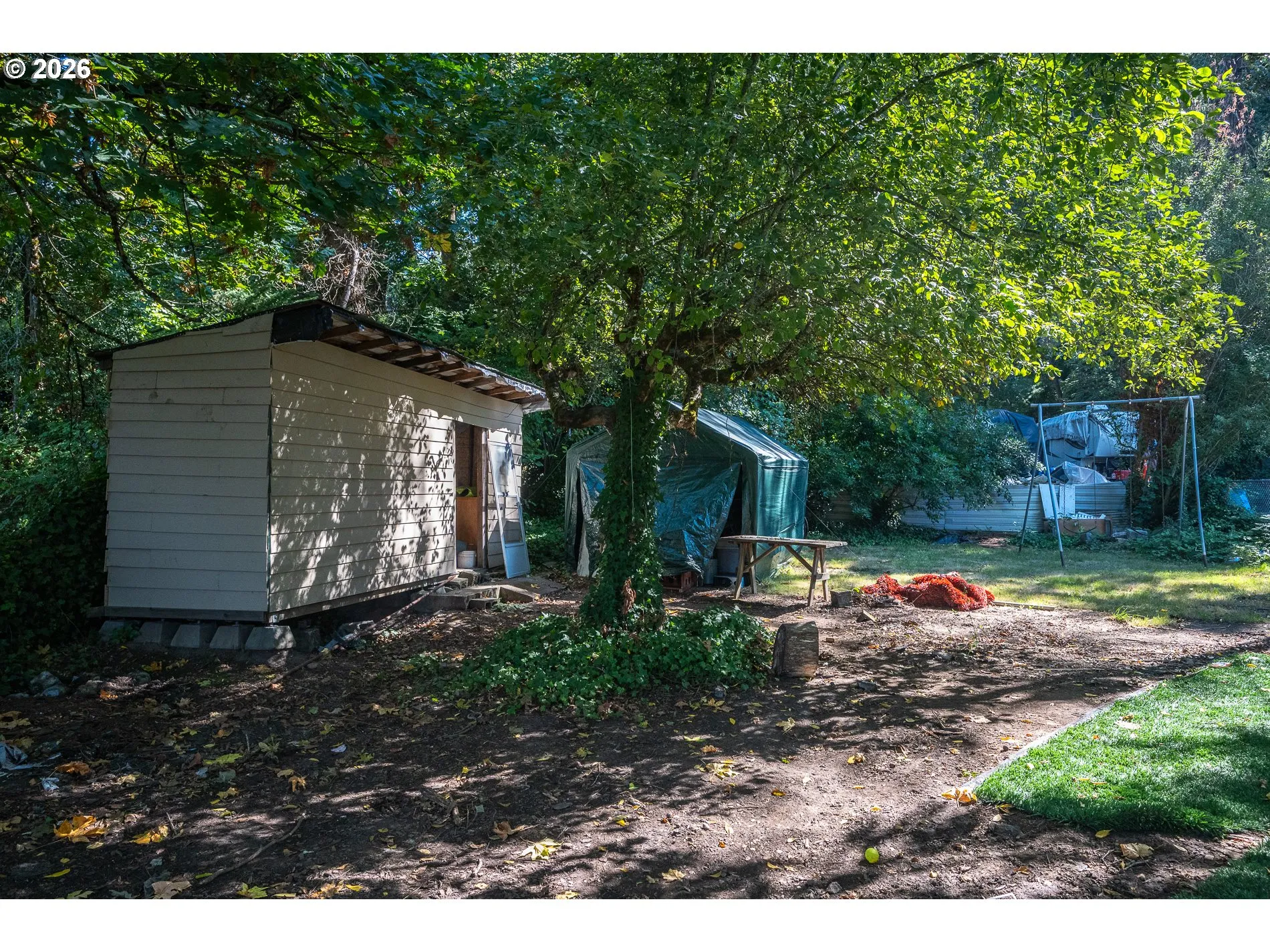 Shed
