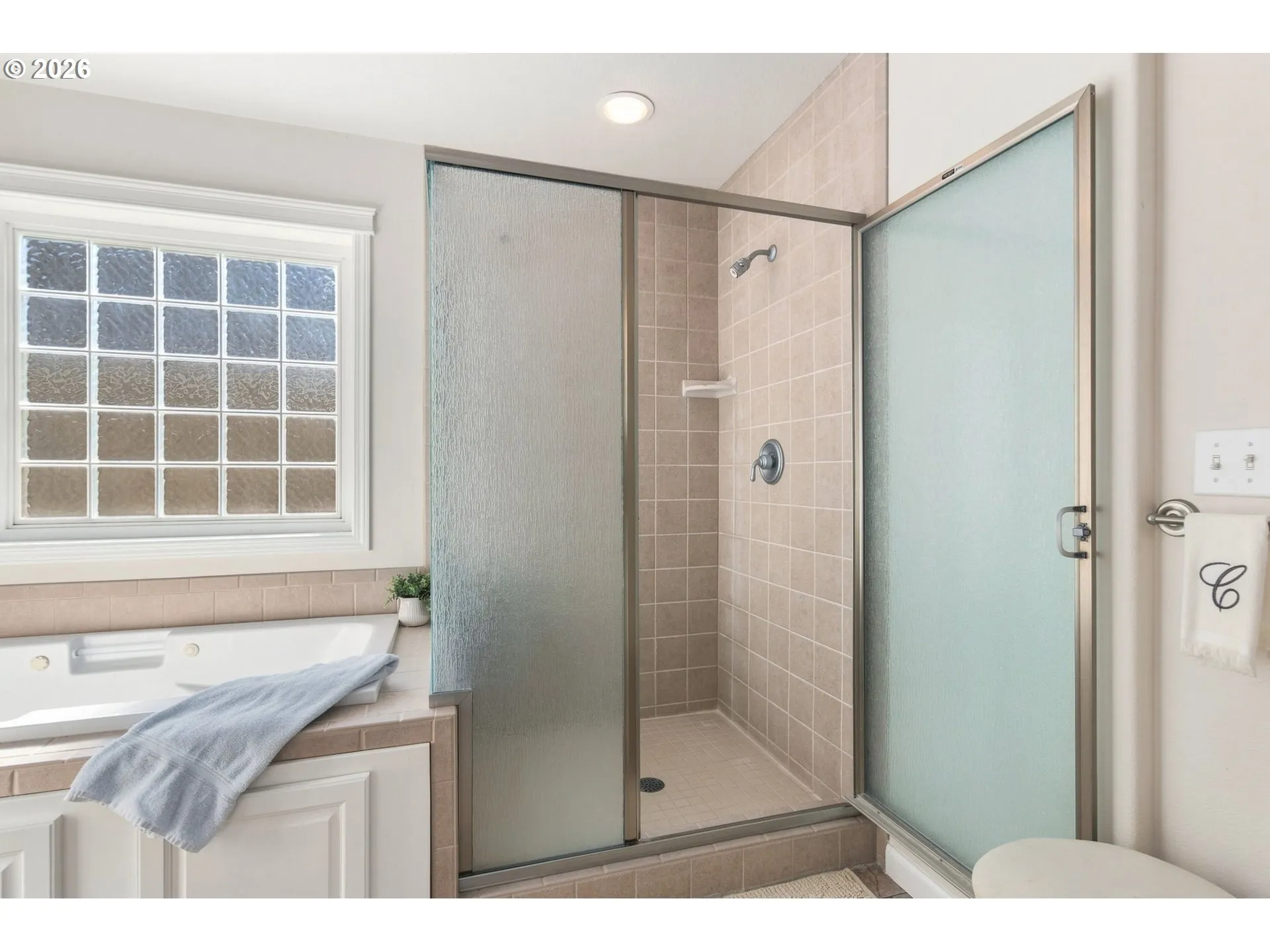 Owner's Suite Bathroom-Walk in Shower