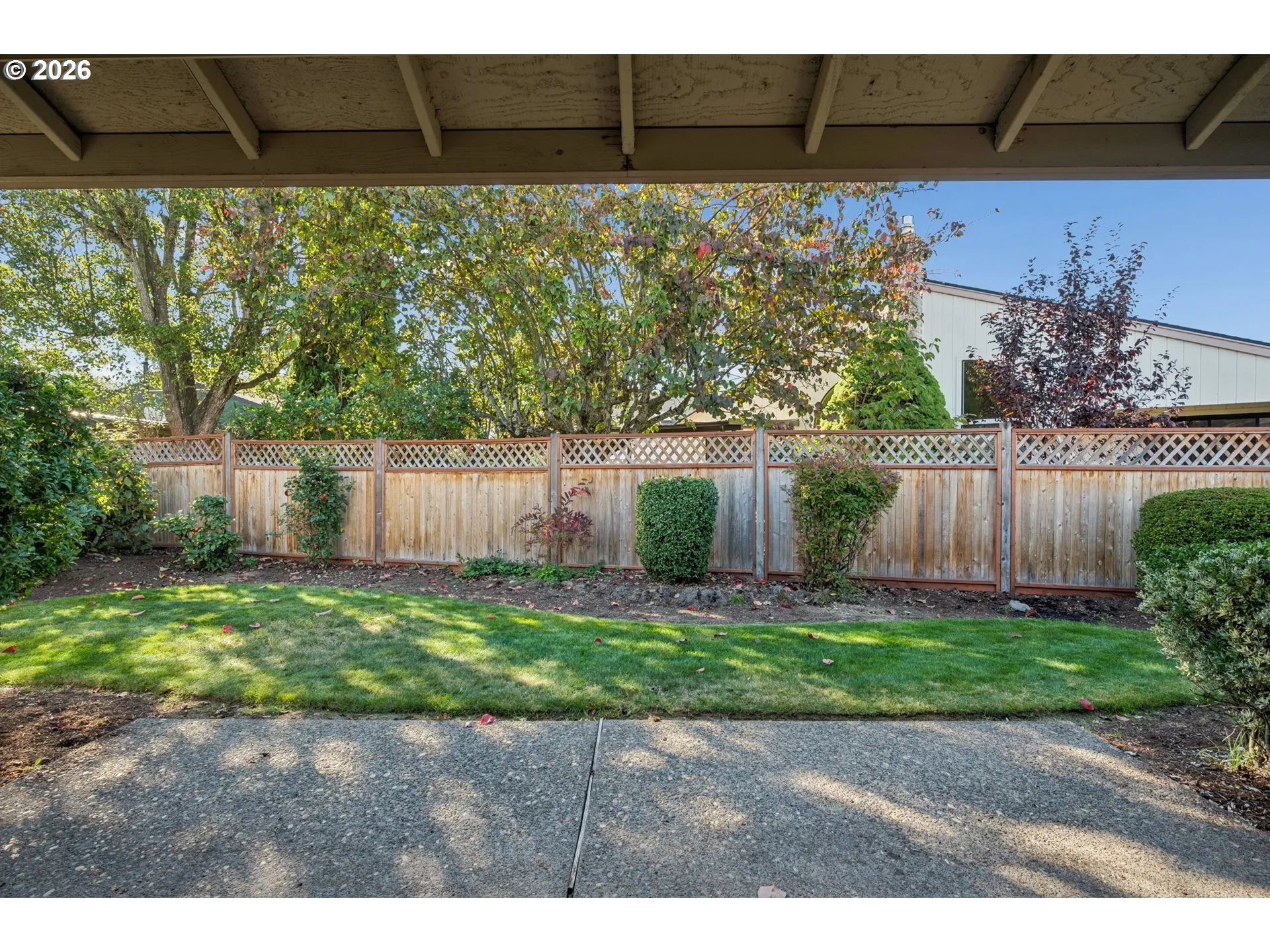 Patio-Backyard
