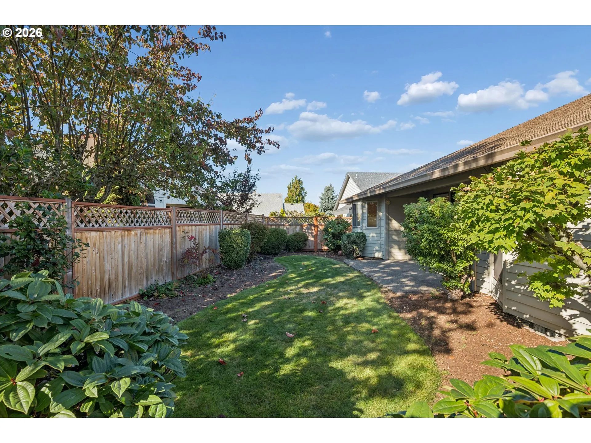 Backyard