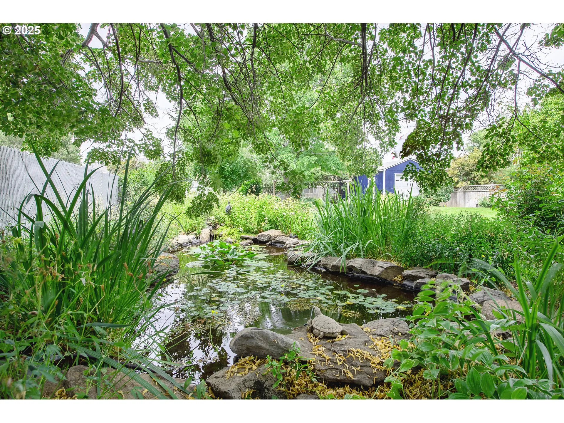 Pond