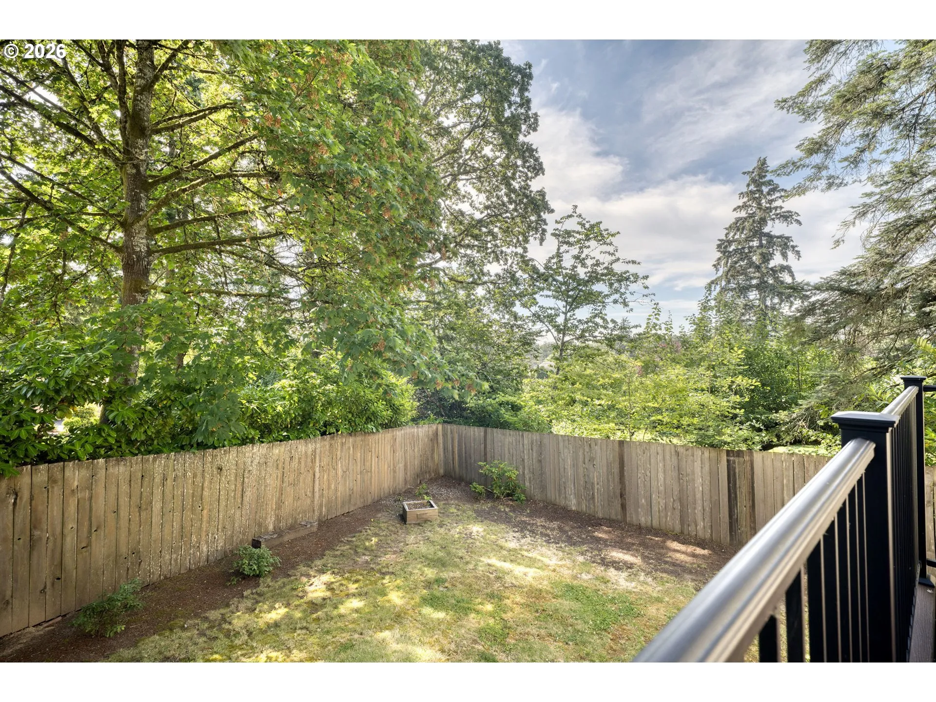 Backyard-View From