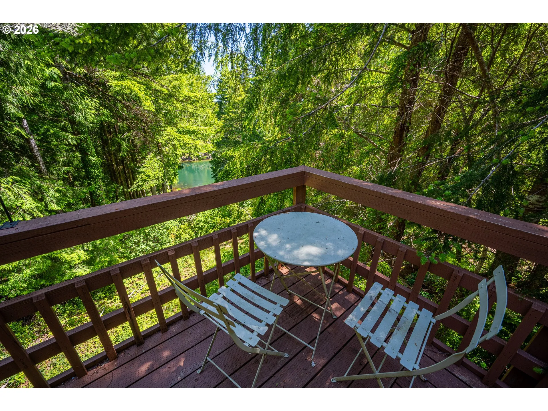 Backyard-View From