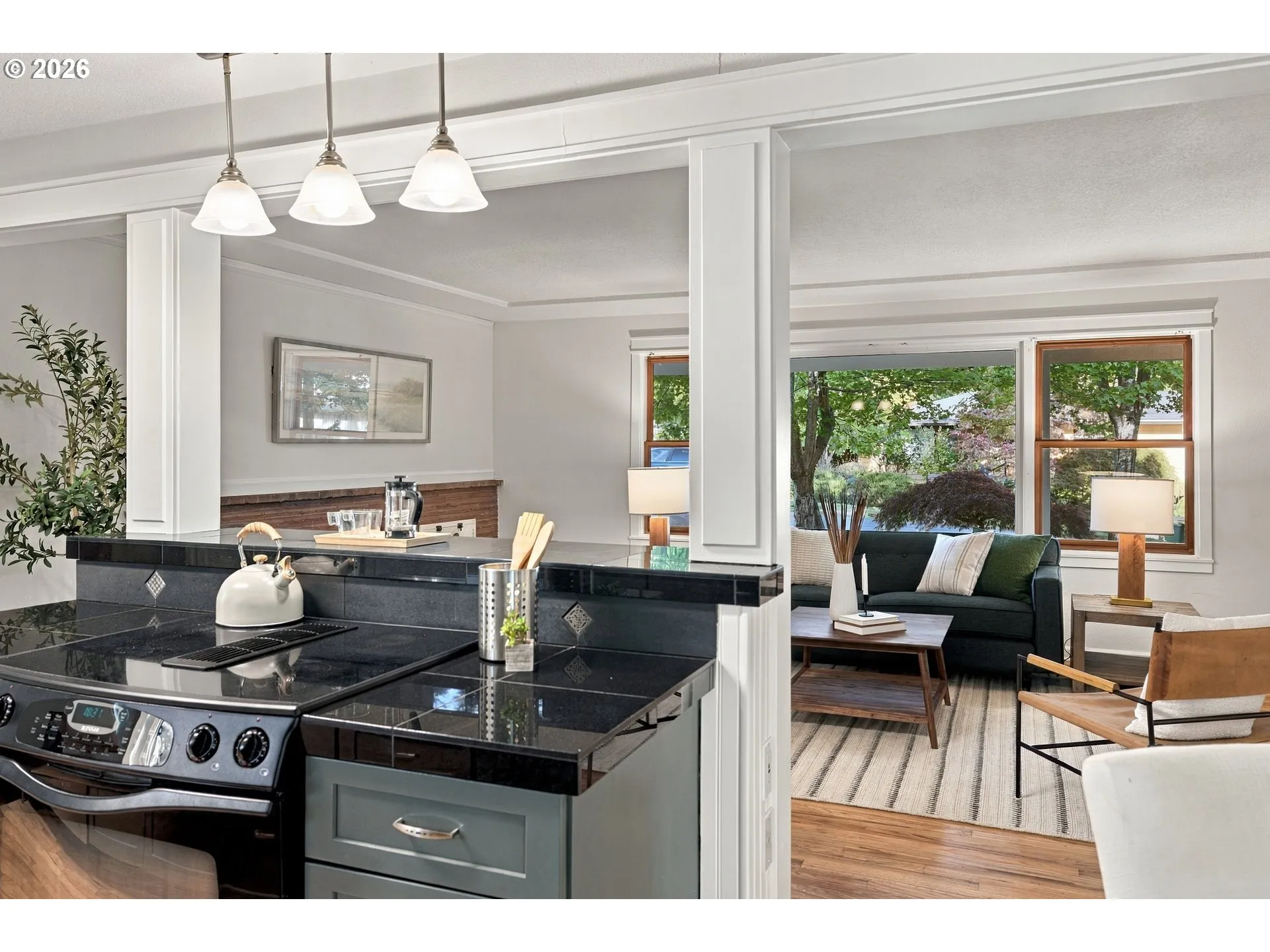 Kitchen/Living Room