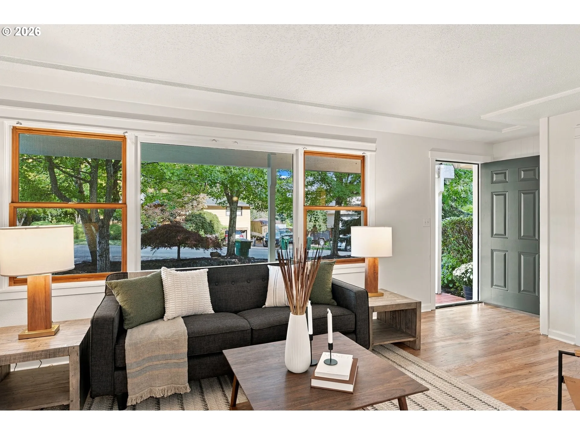 Living Room/Entrance