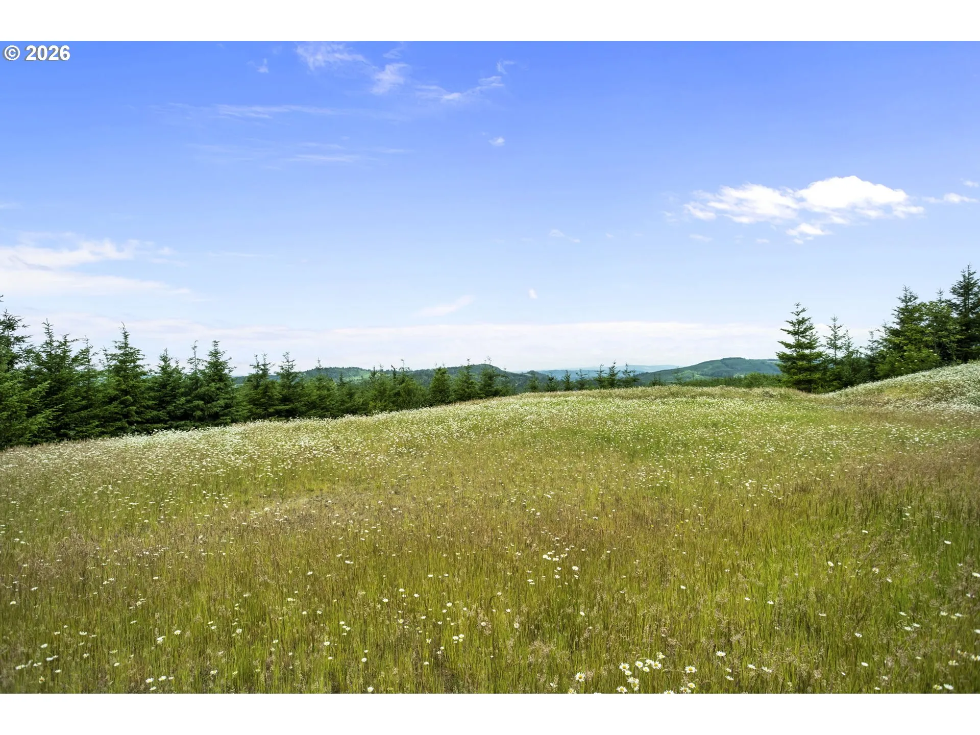 Home Site