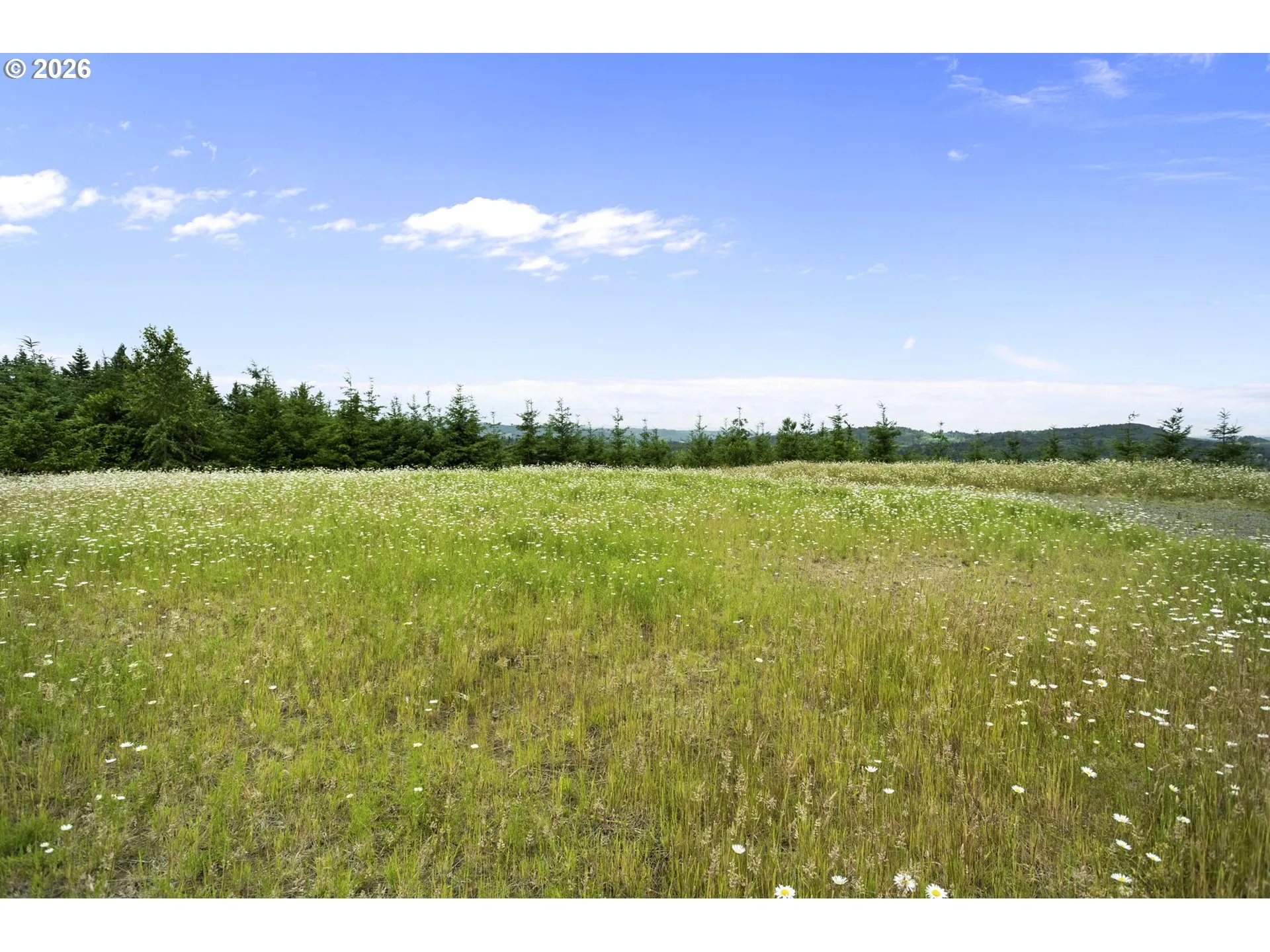 Home Site