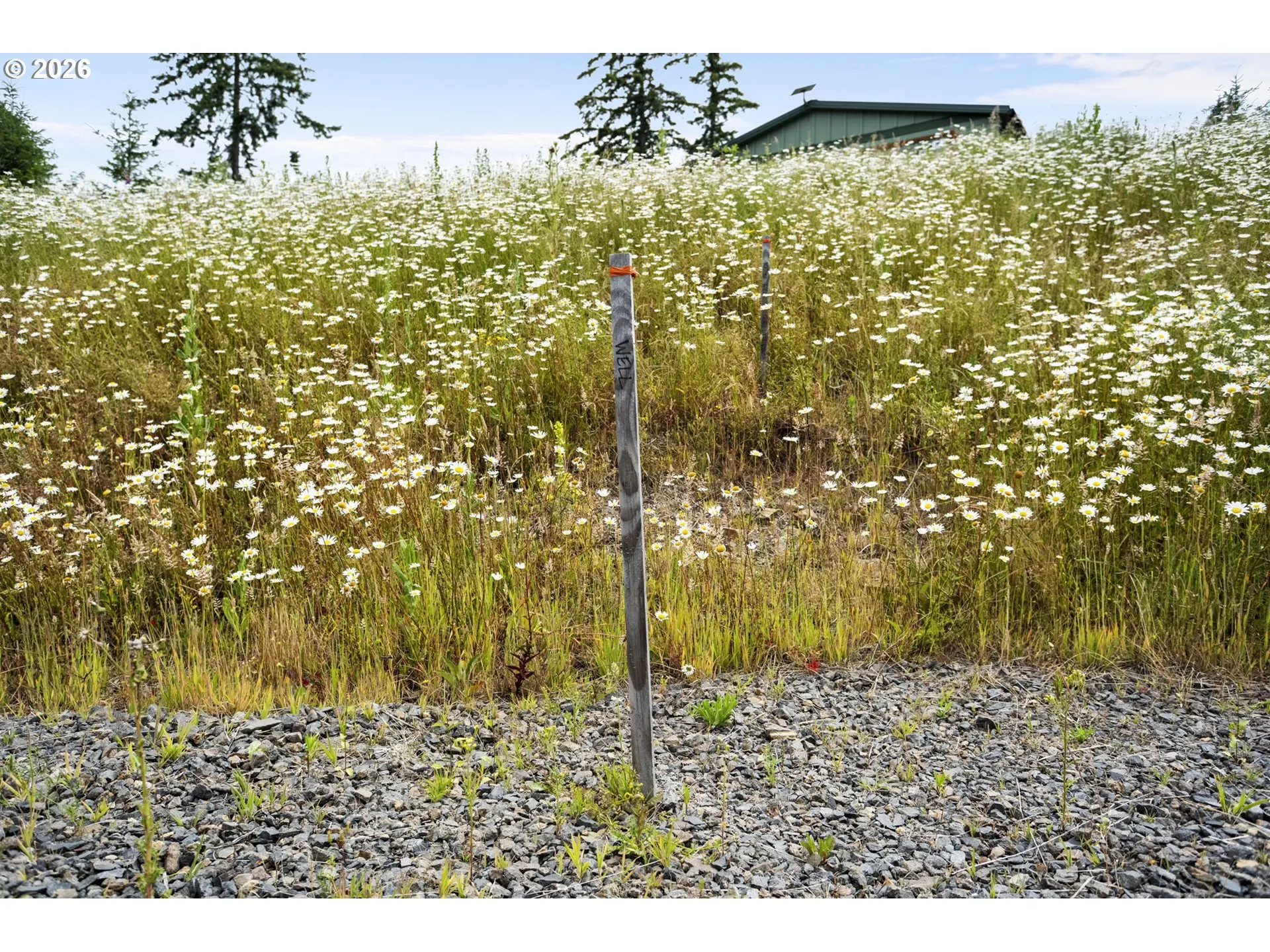 Acreage
