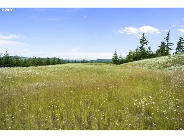 Home Site