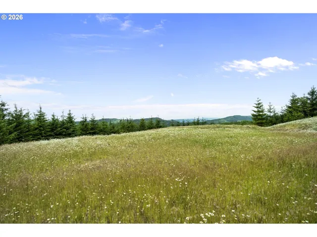 Home Site