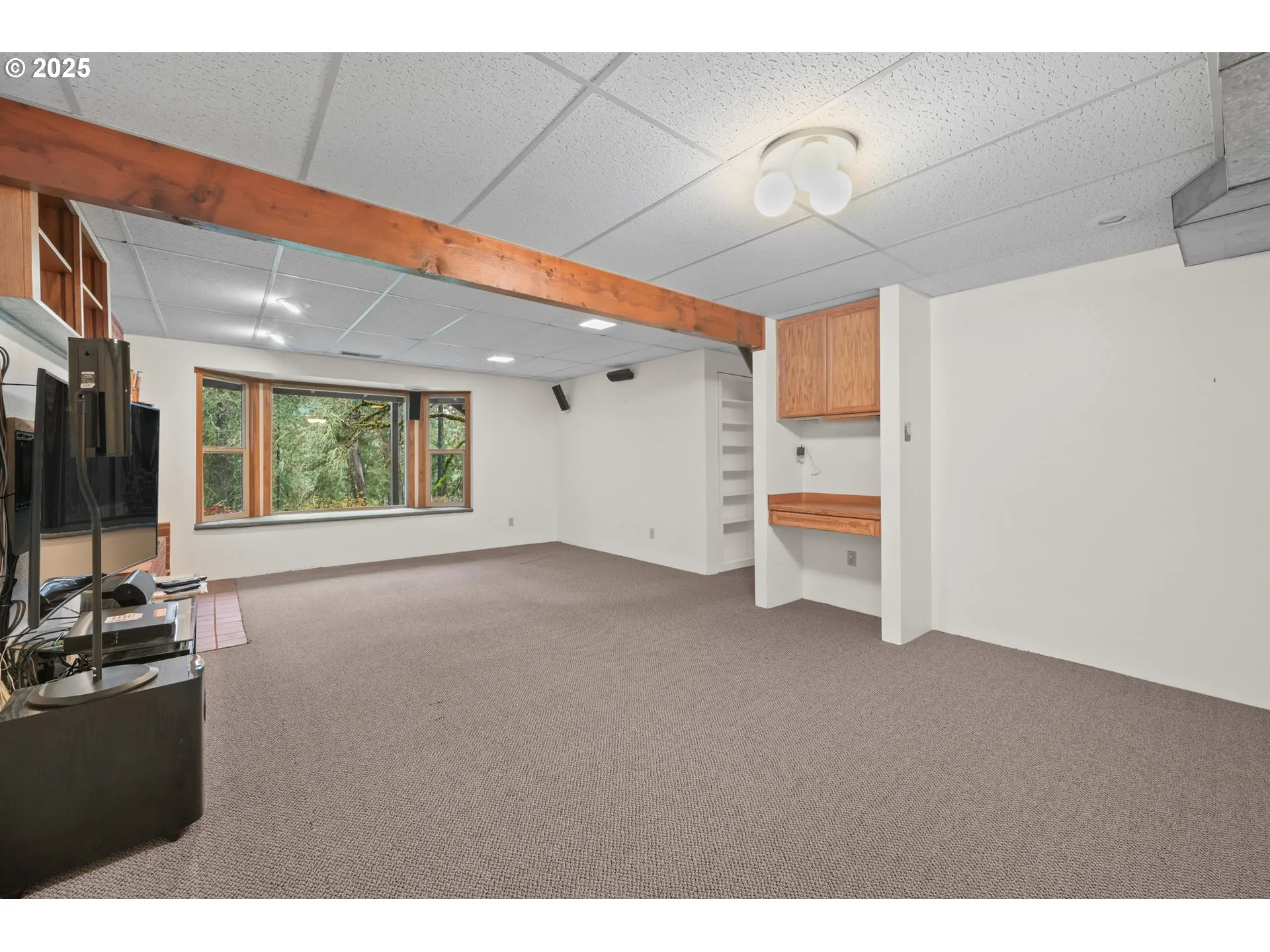 Family Room-Lower