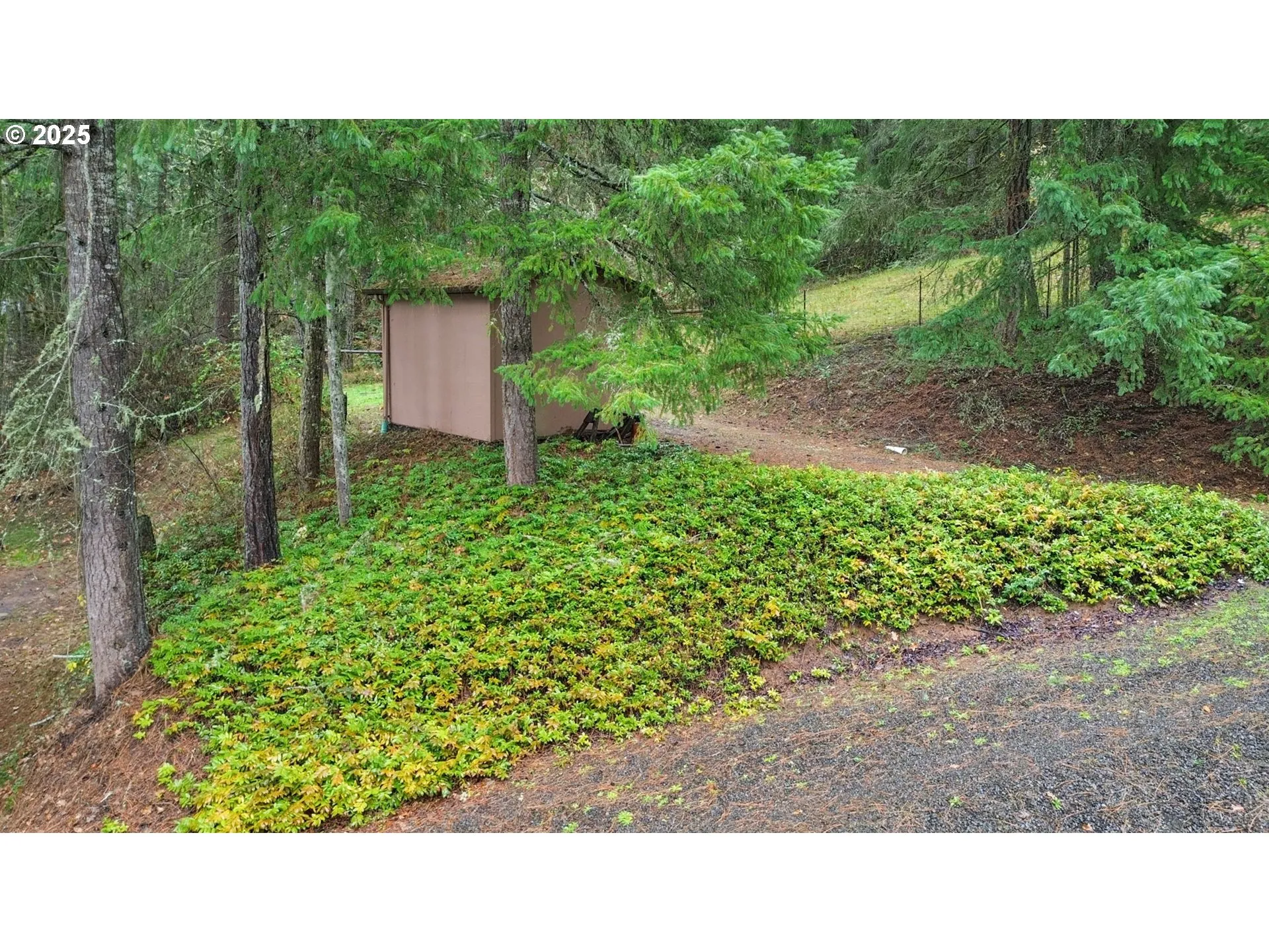 Shed