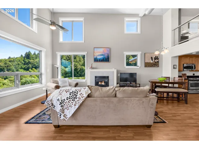 Fireplace Gas
