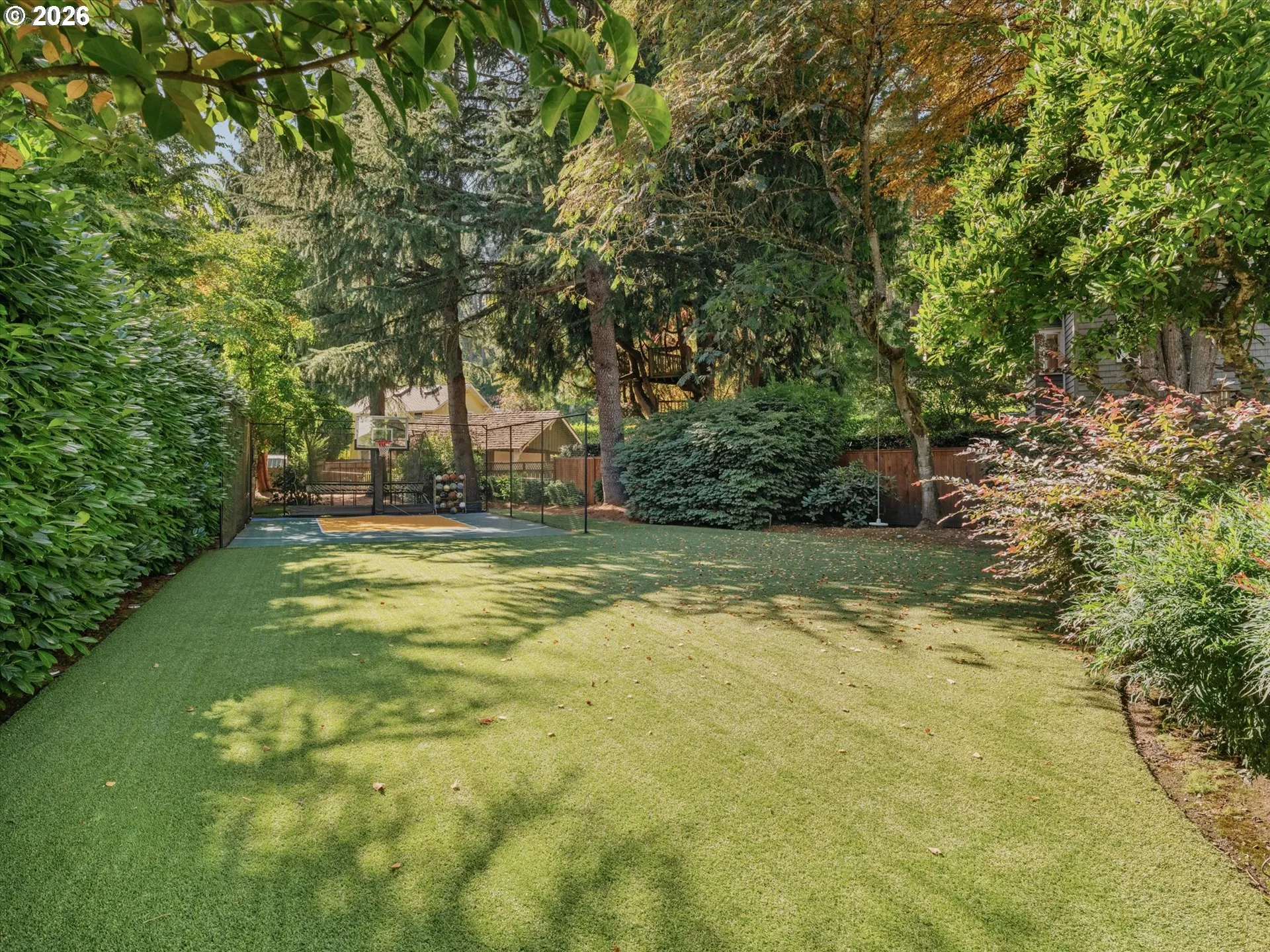 Backyard