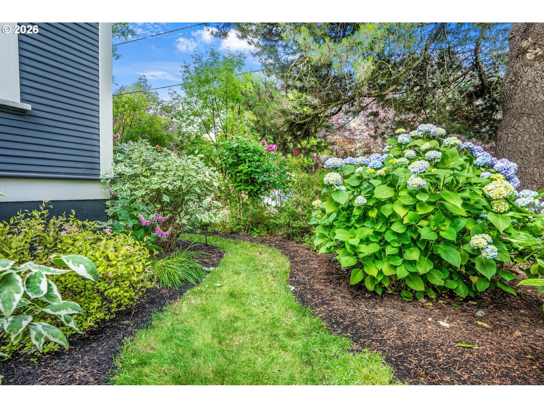 Yard-Manicured