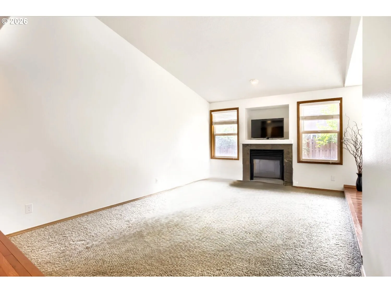 Living Room-Fireplace