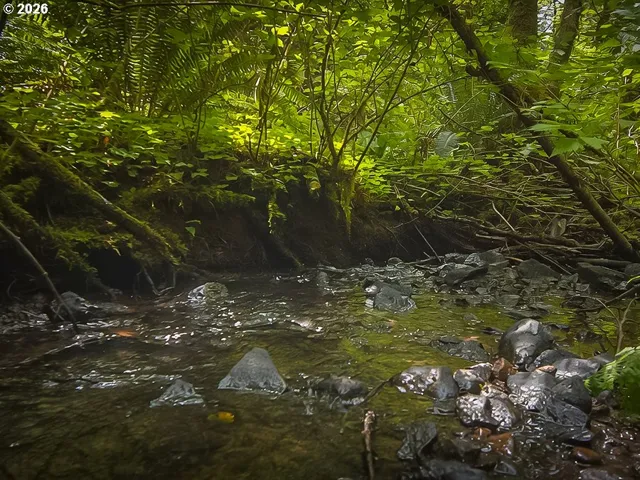 Creek