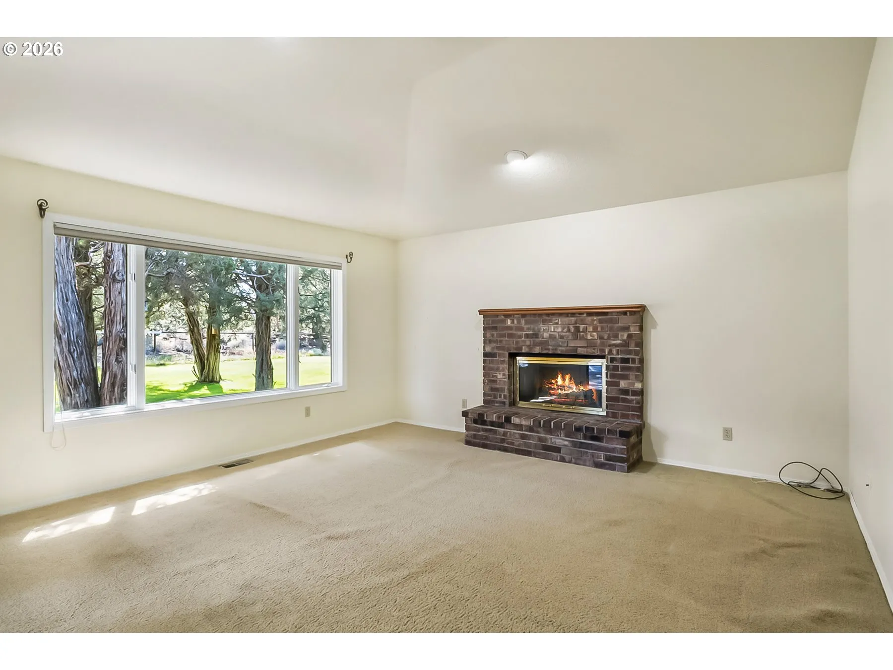 Fireplace Wood