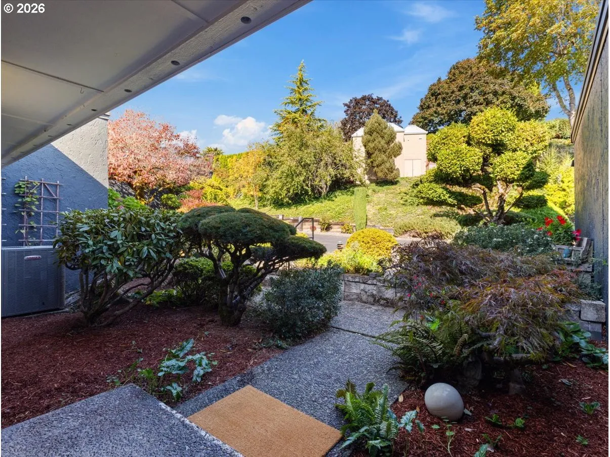 Front Yard