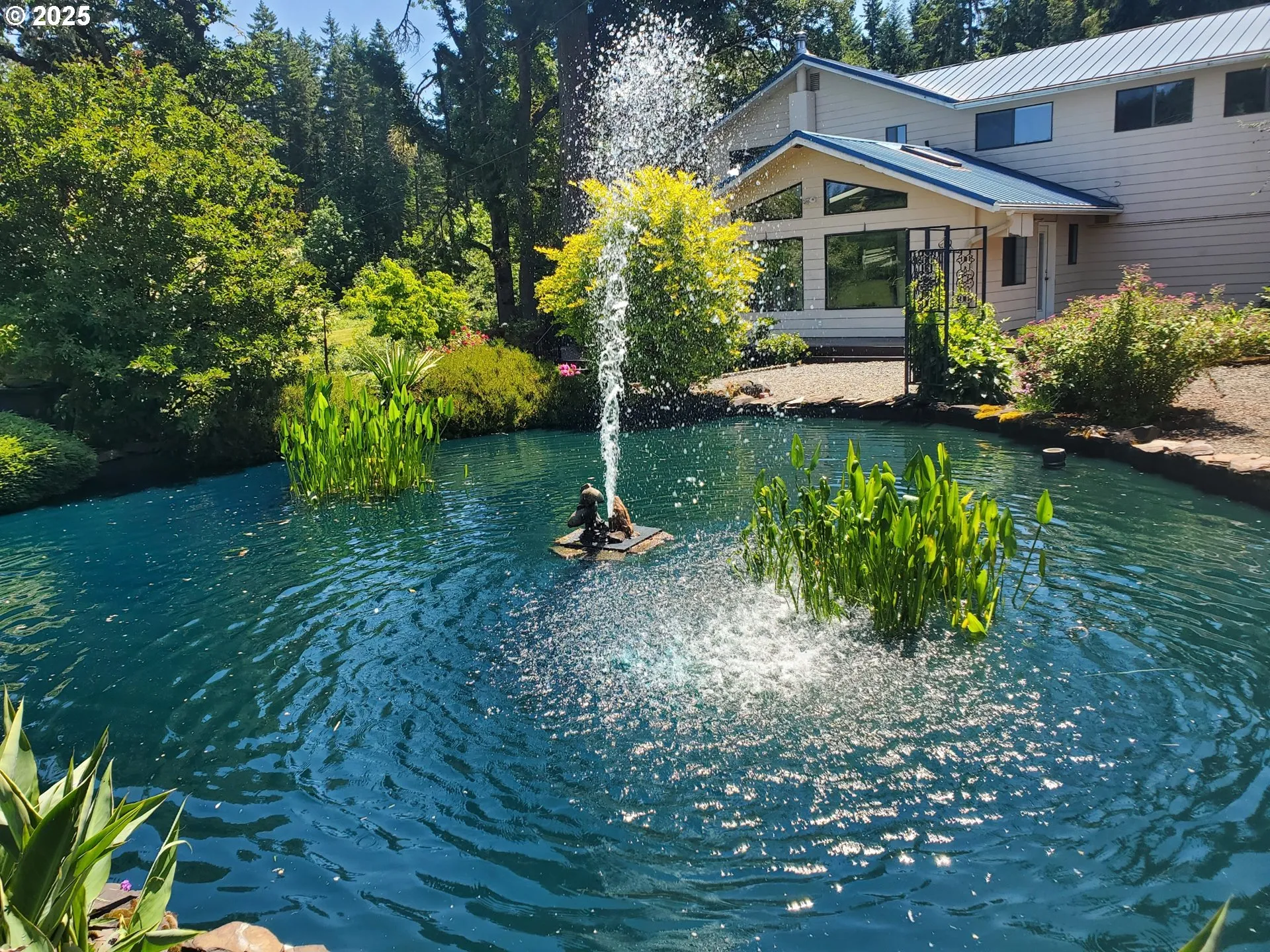 Pond-# 1