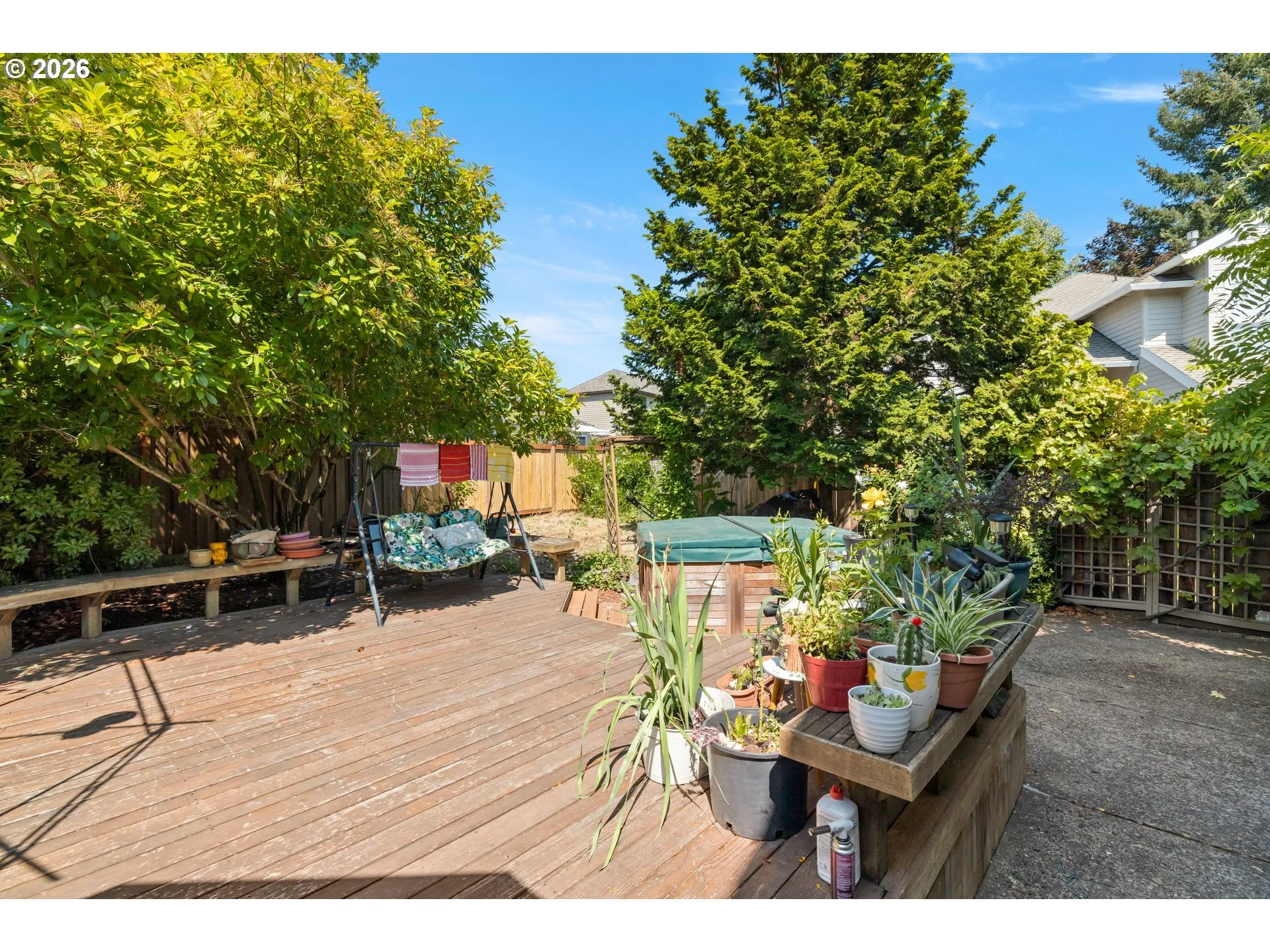 Backyard