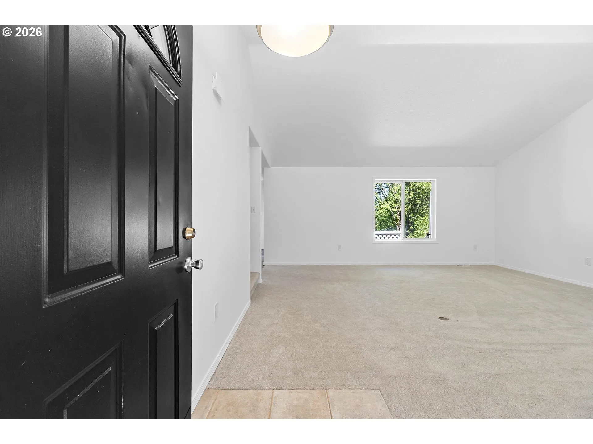Living Room/Entrance