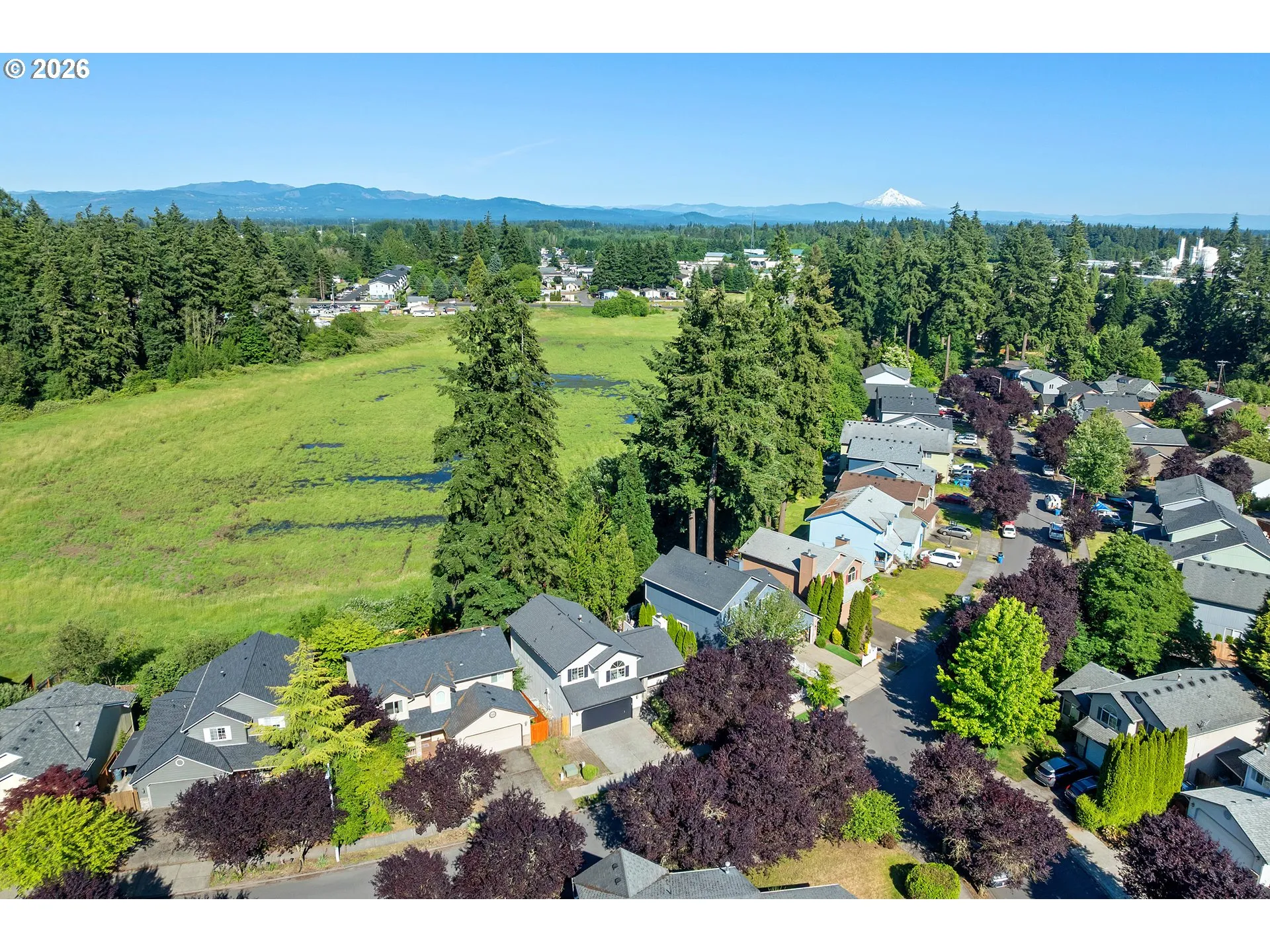 Green Space-Back