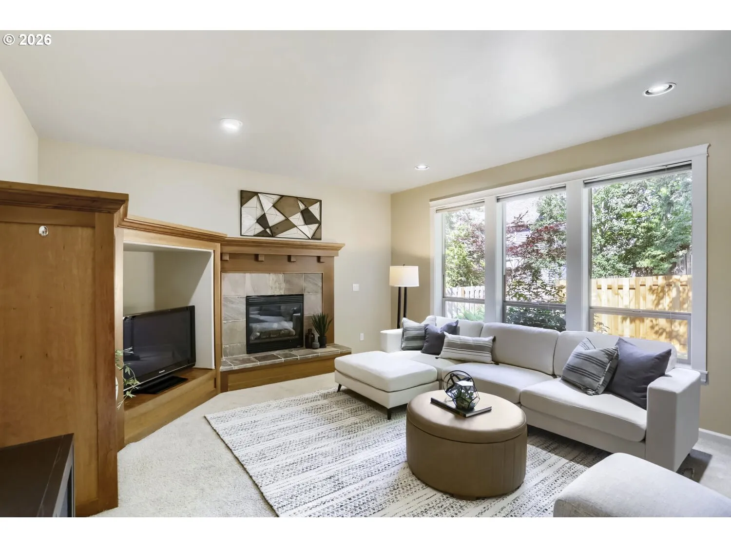 Fireplace Gas