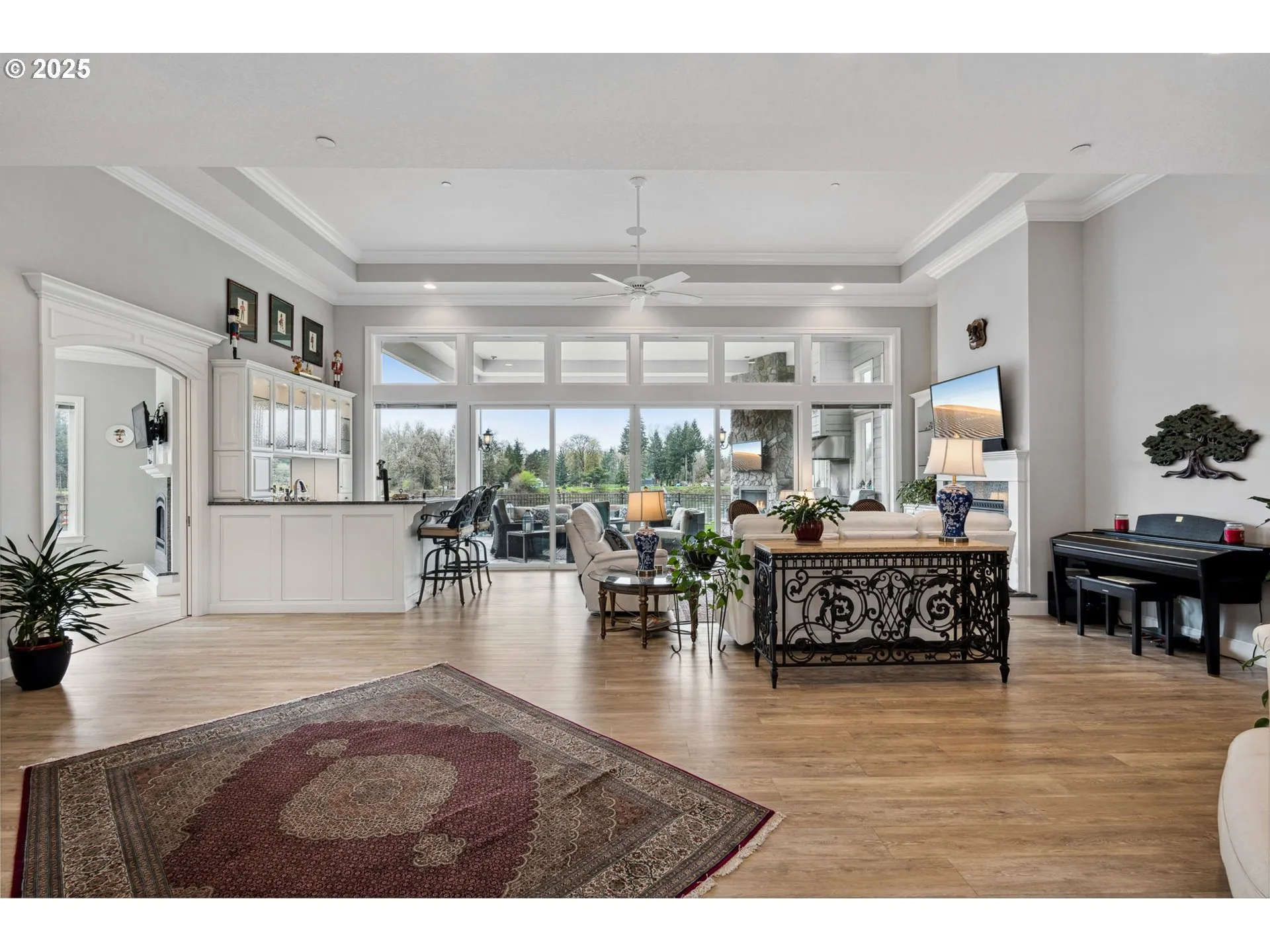 Living Room/Entrance