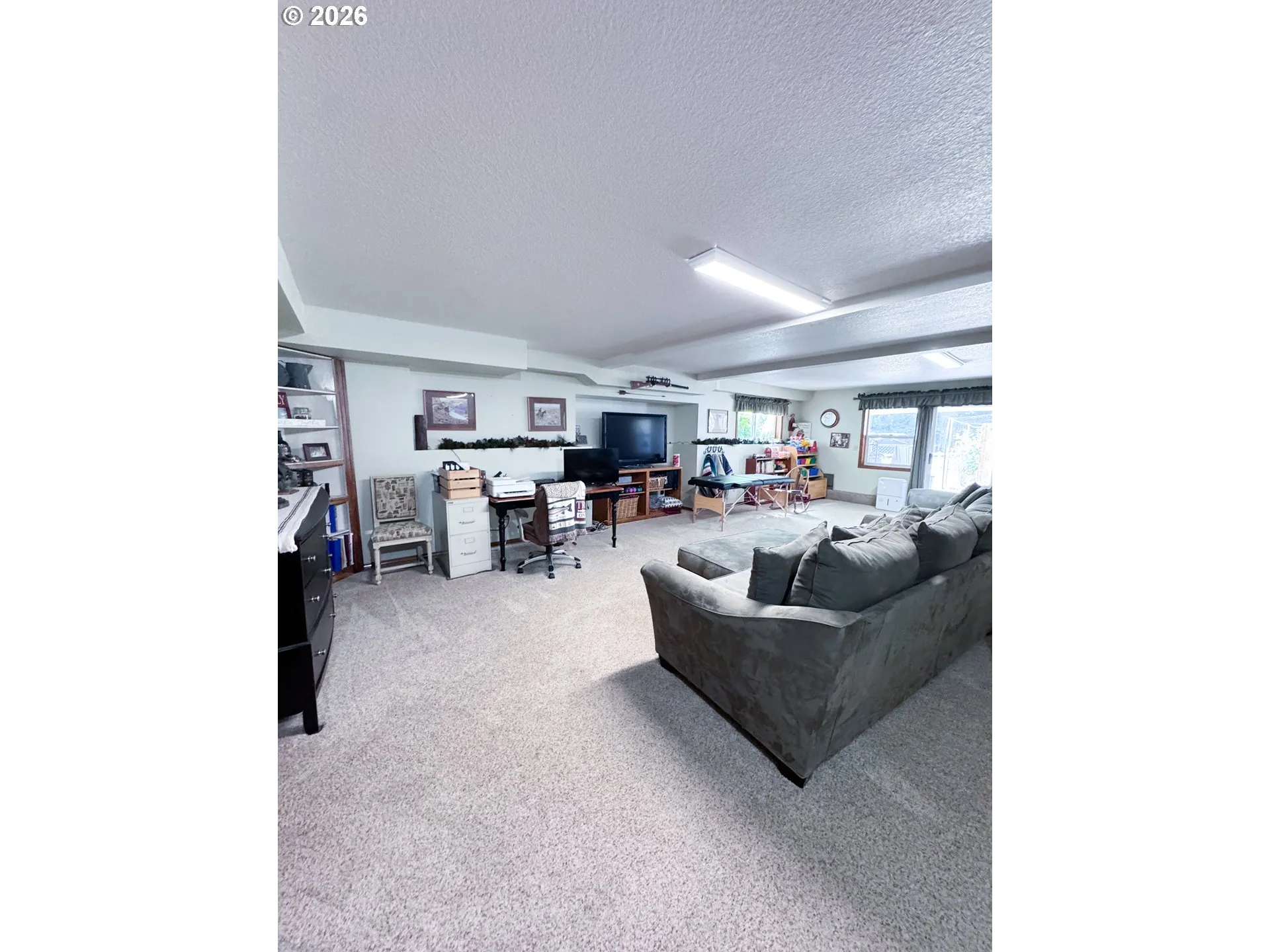 Family Room-Lower